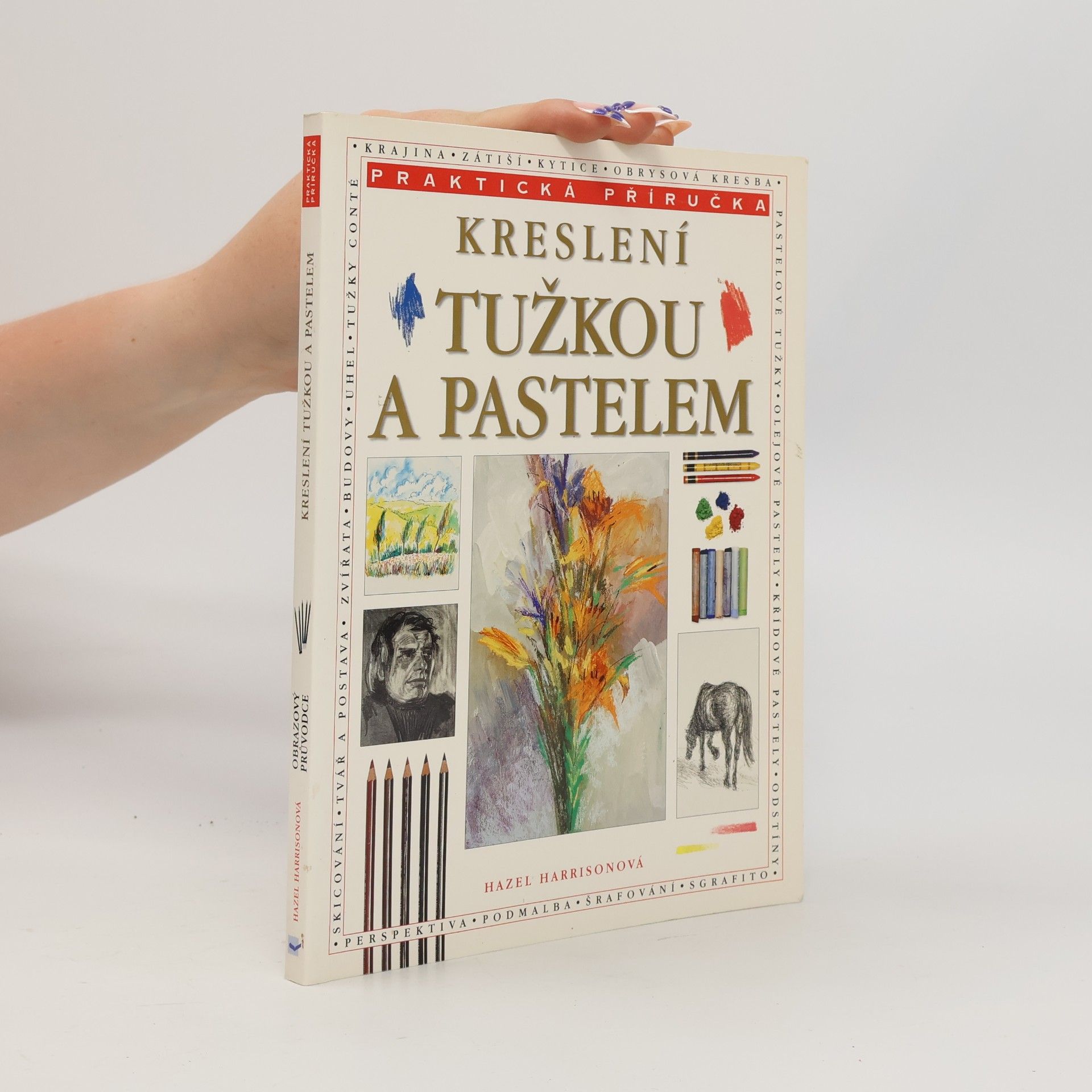 Hazel Harrison Kreslení tužkou a pastelem