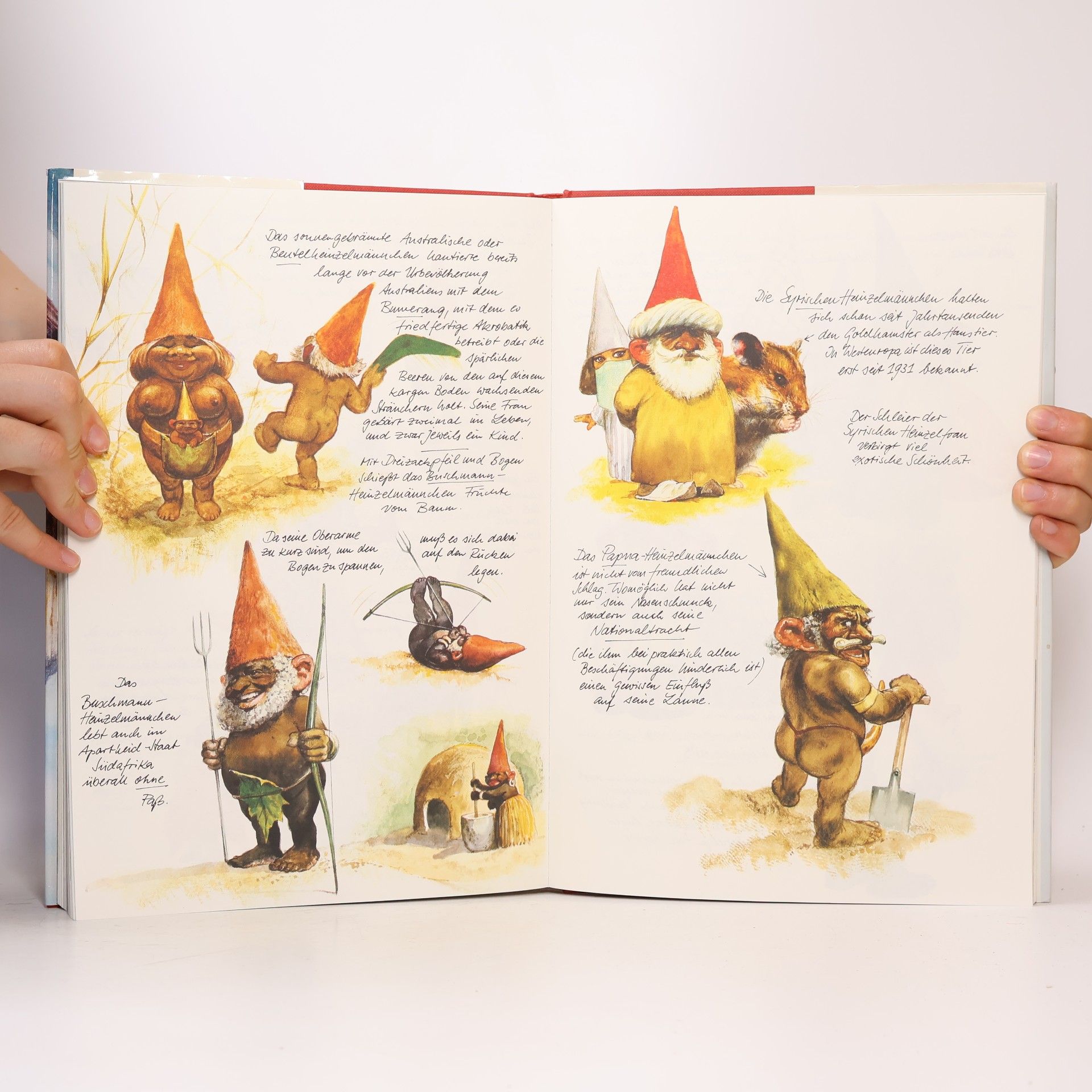 Auteurscollectief Das geheime Buch der Heinzelmännchen