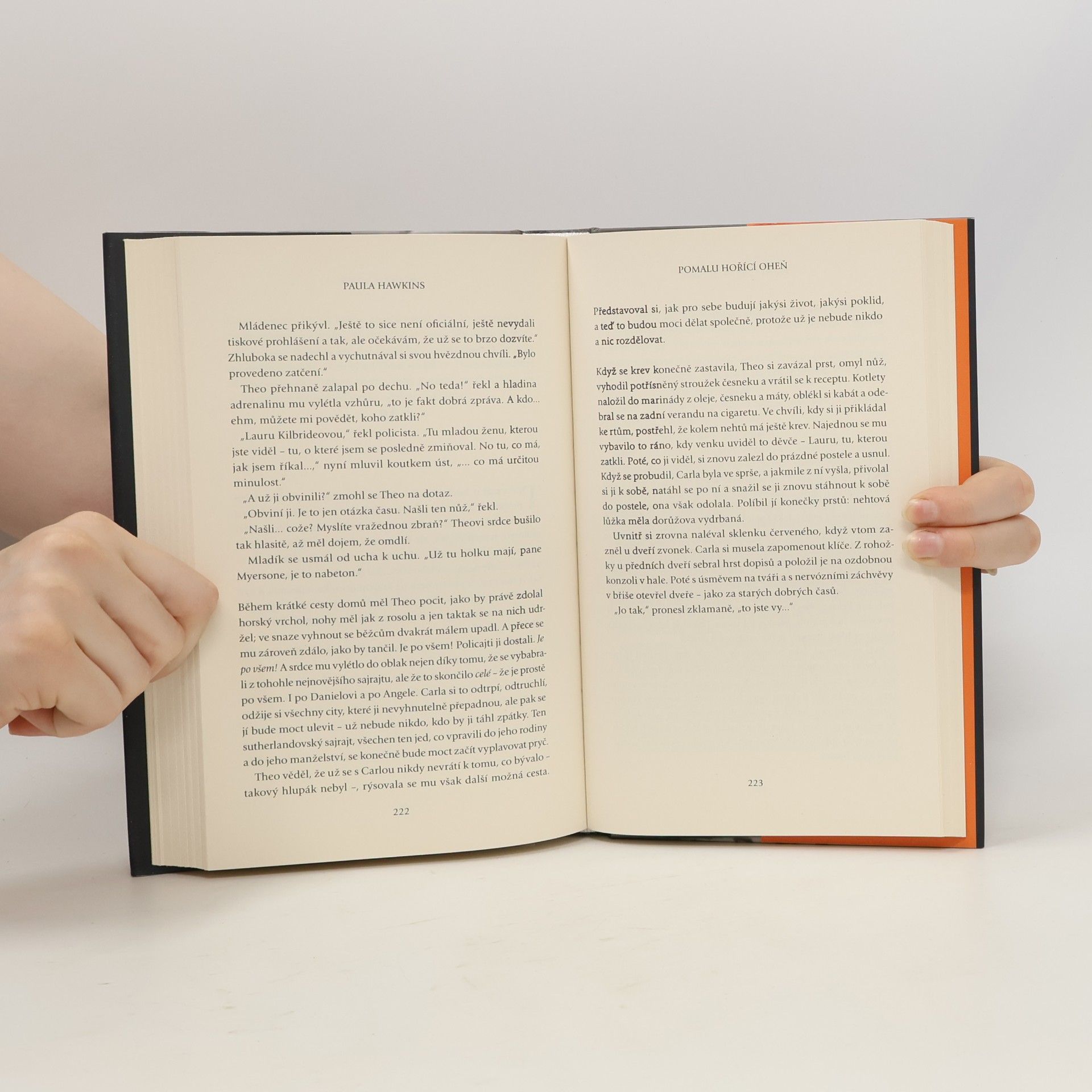 Paula Hawkins Pomalu hořící oheň
