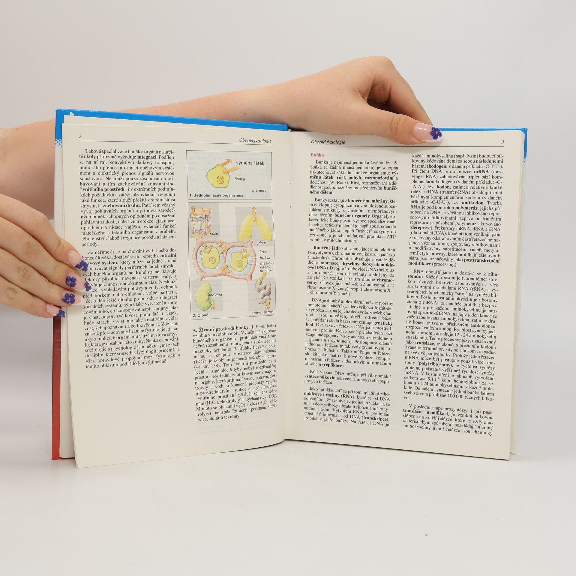 Stefan Silbernagl Atlas fyziologie člověka