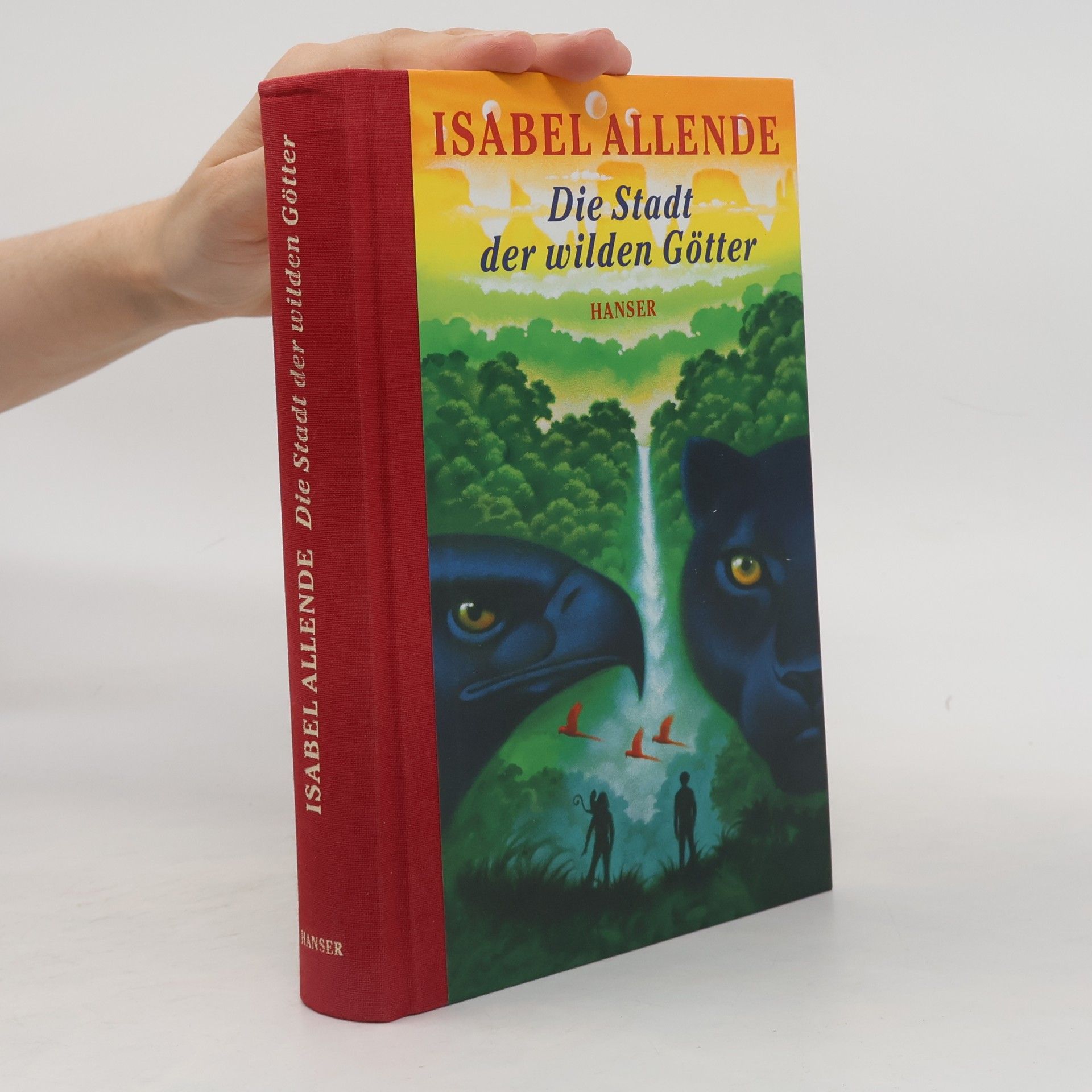 Isabel Allende Die Stadt der wilden Götter