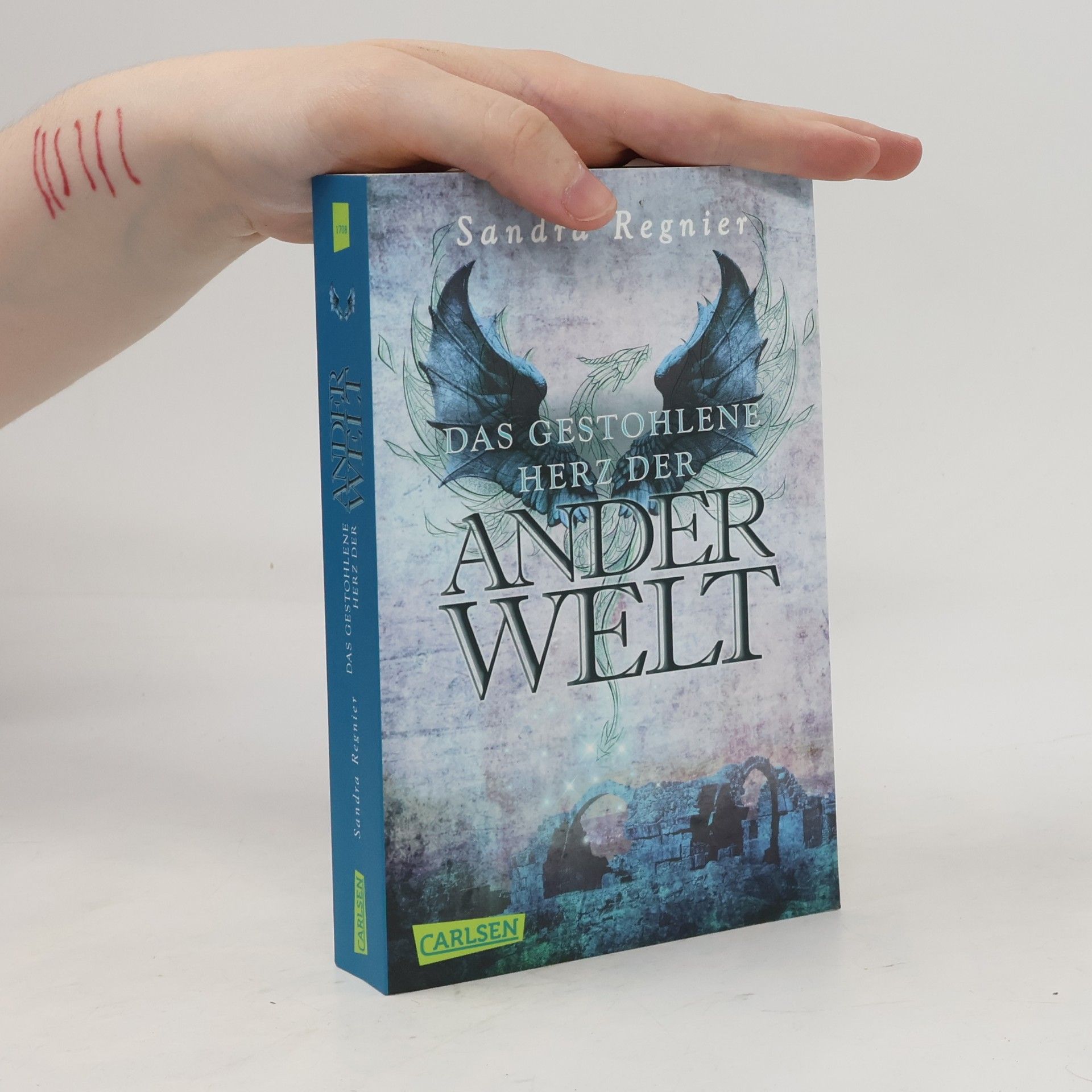 Sandra Regnier Das gestohlene Herz der Anderwelt