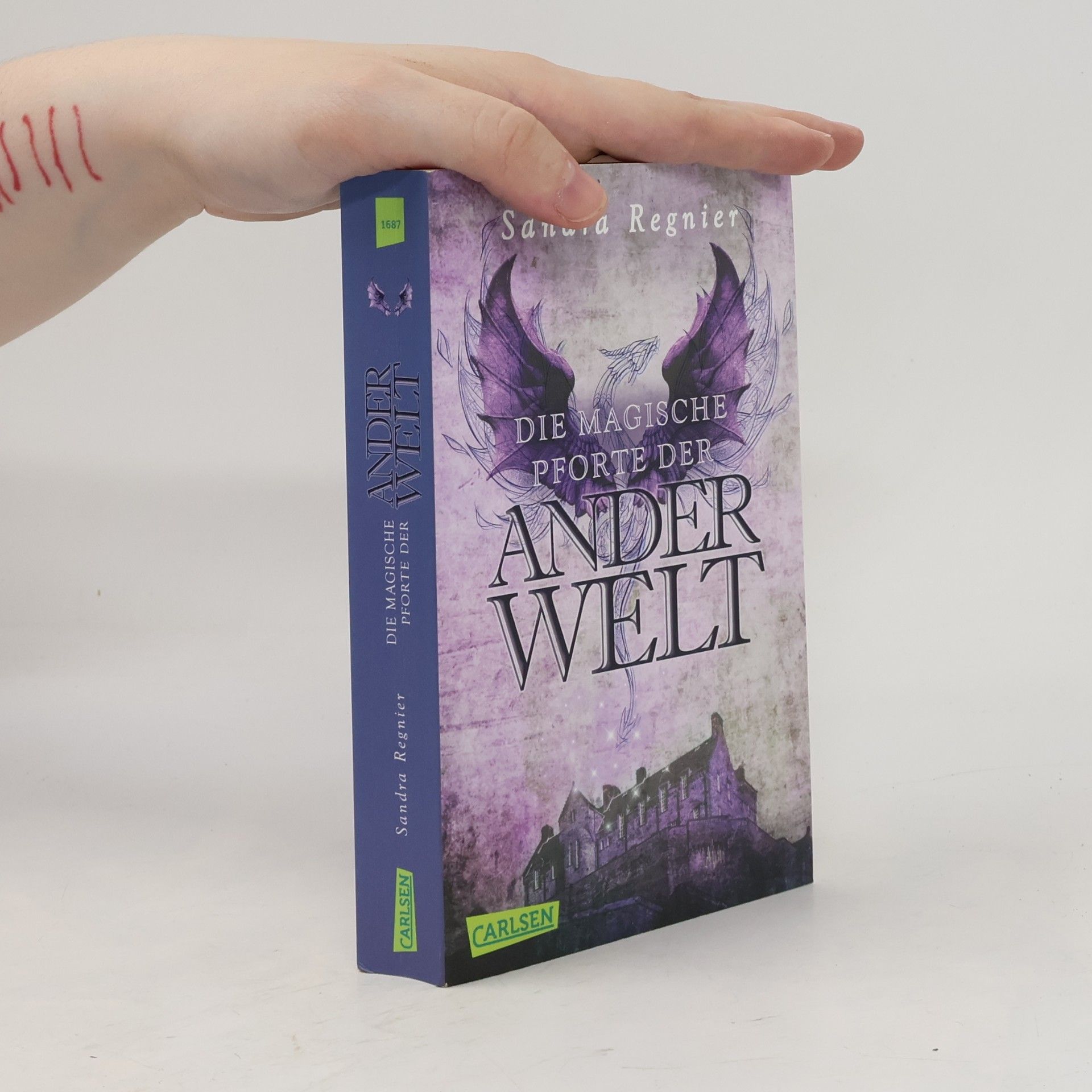 Die magische Pforte der Ander Welt