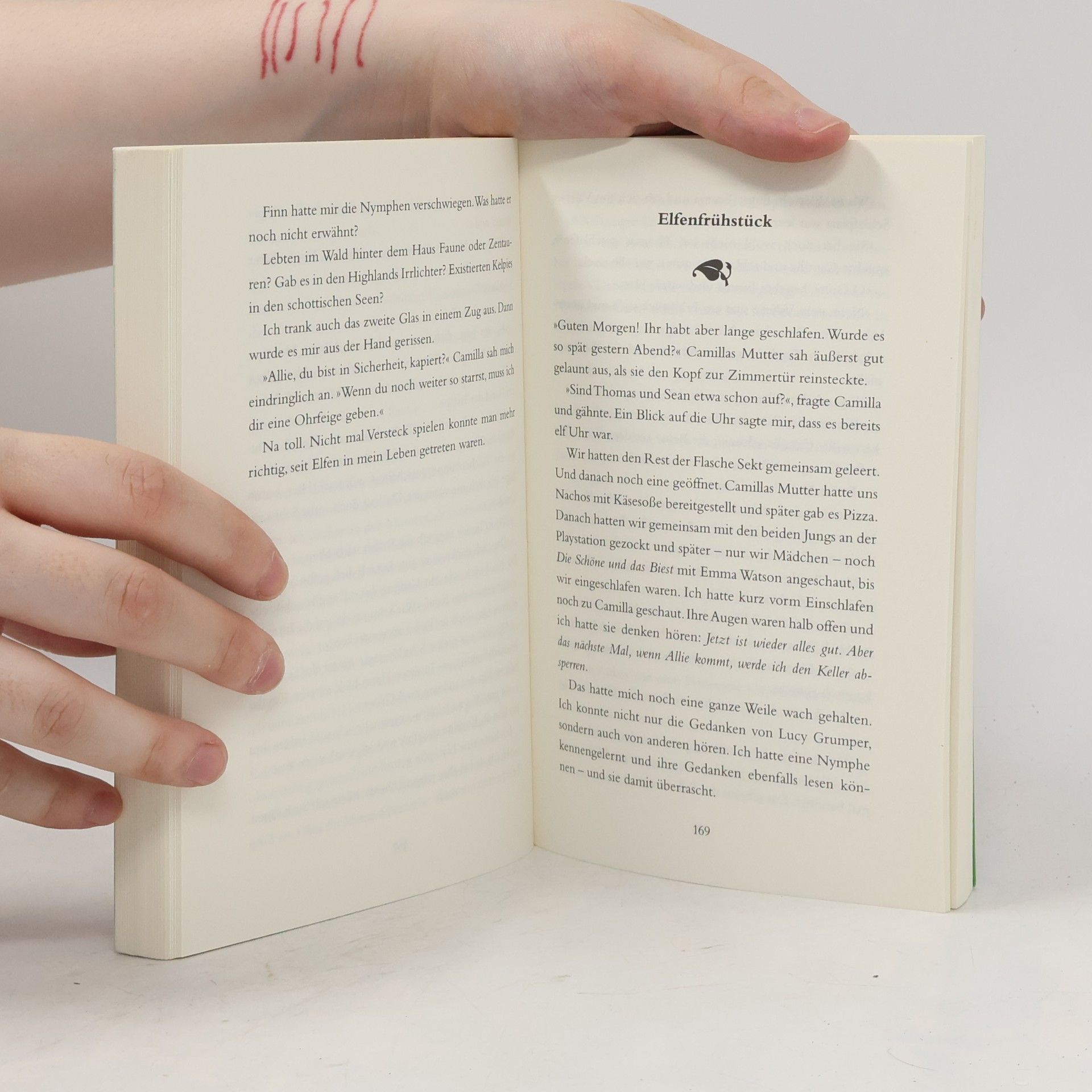 Sandra Regnier Die magische Pforte der Ander Welt
