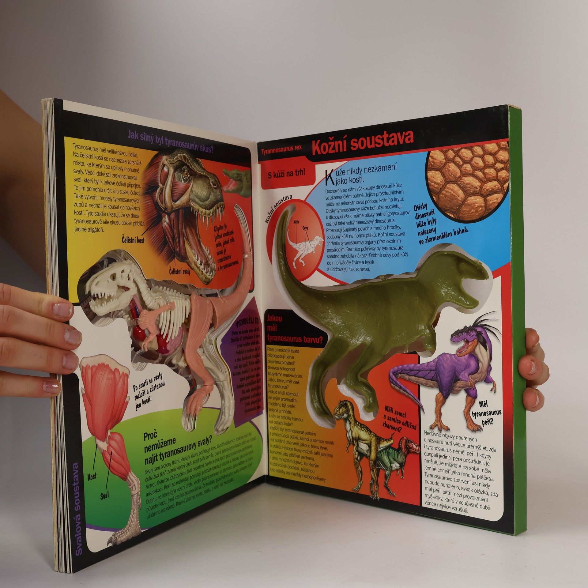 Dennis Schatz Tyrannosaurus Rex 3D
