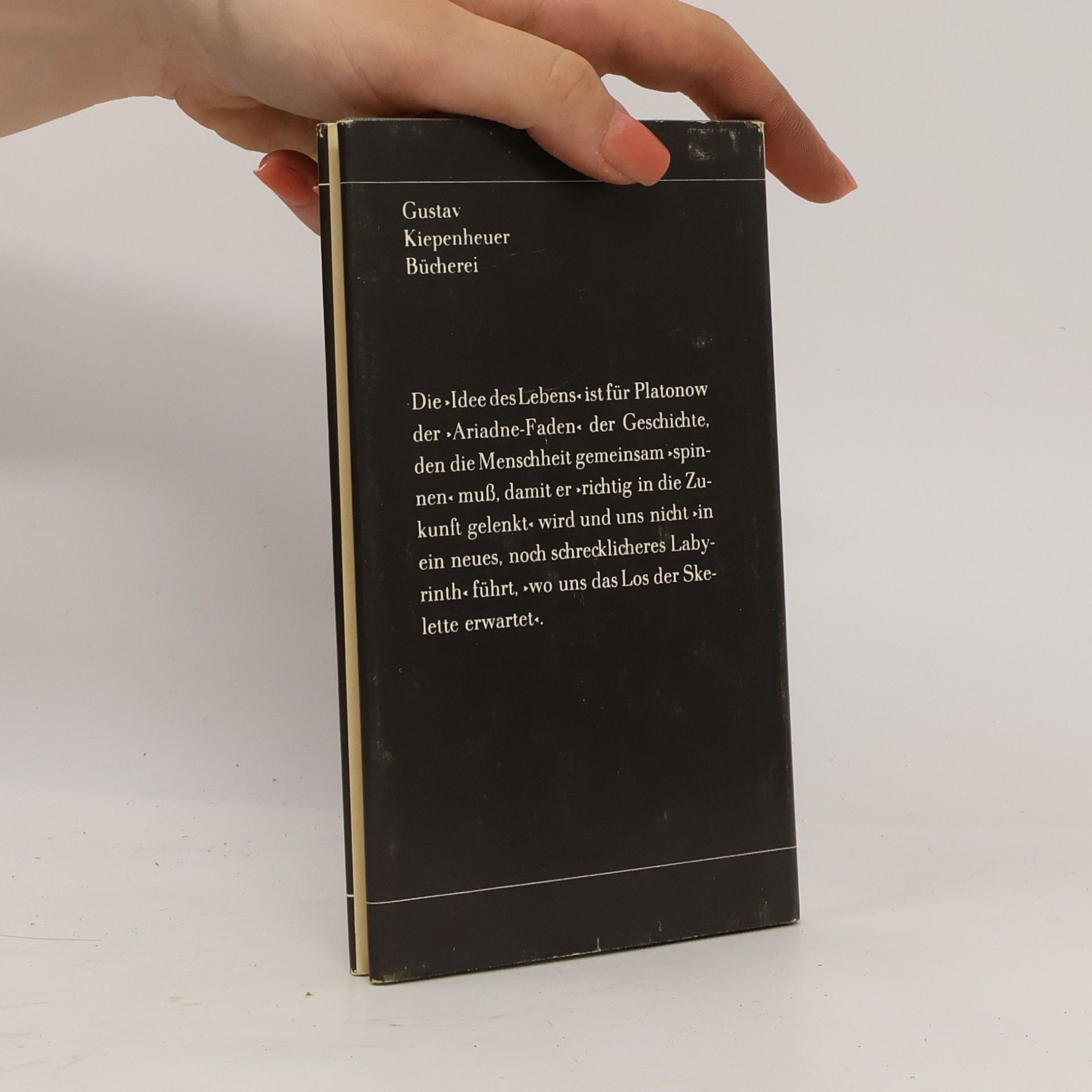 Andrei Platonowitsch Platonow Gedanken eines Lesers