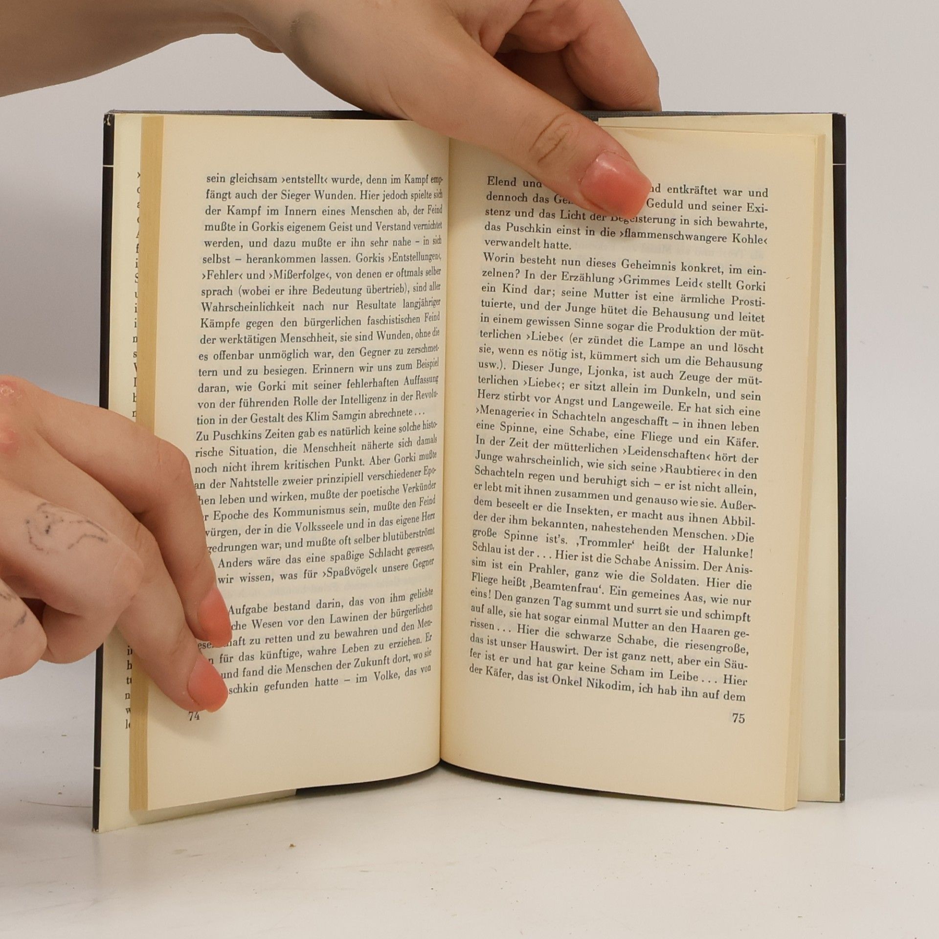 Andrei Platonowitsch Platonow Gedanken eines Lesers