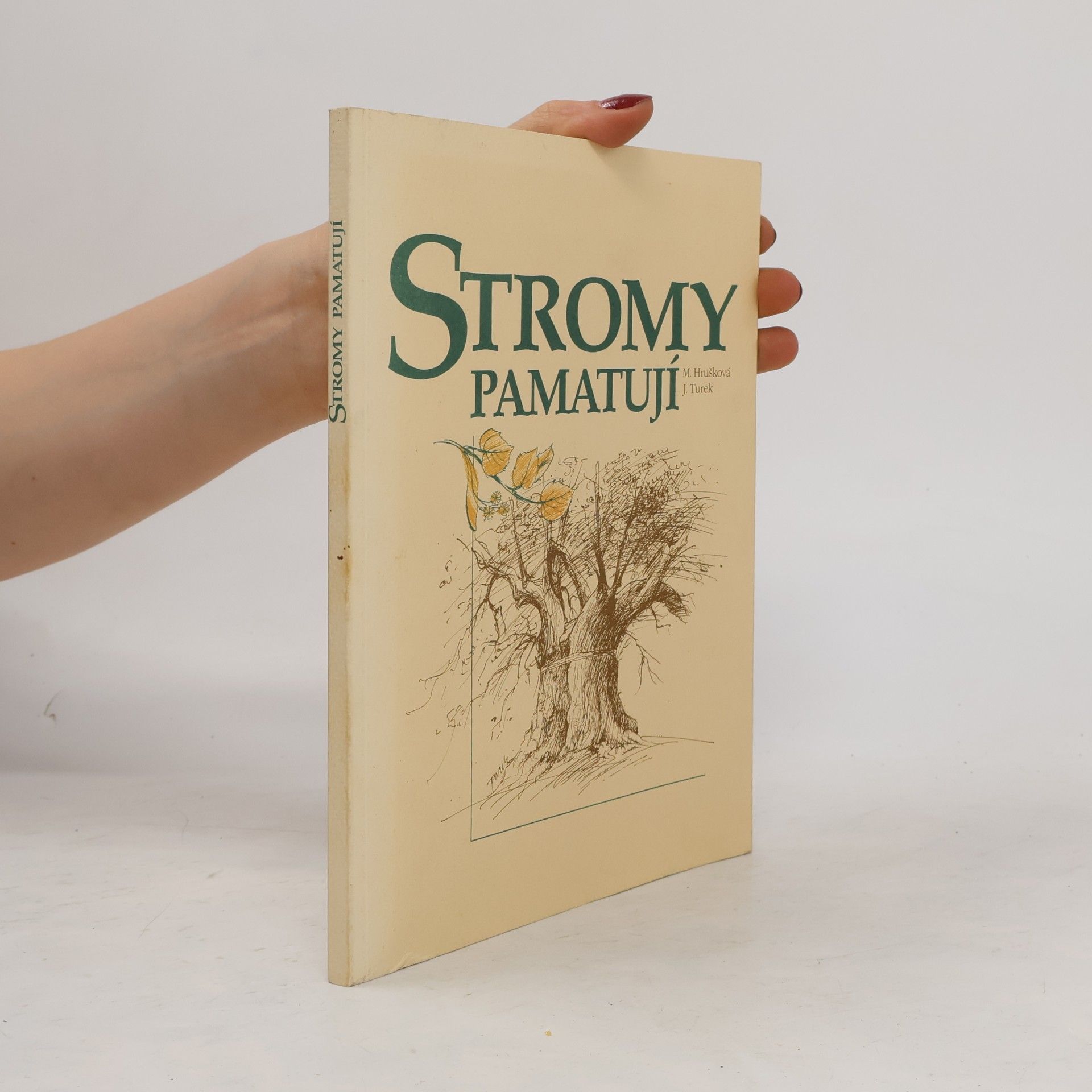 Stromy pamatují