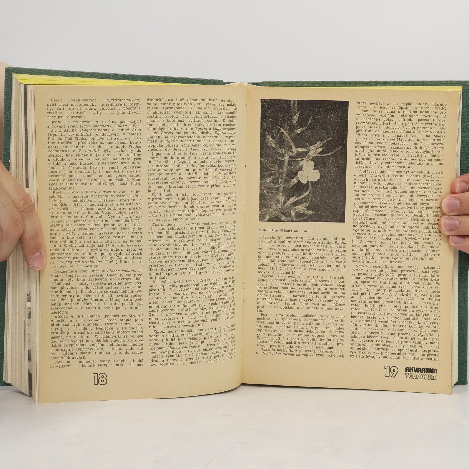 Autorenkollektiv Akvárium a terárium 1980