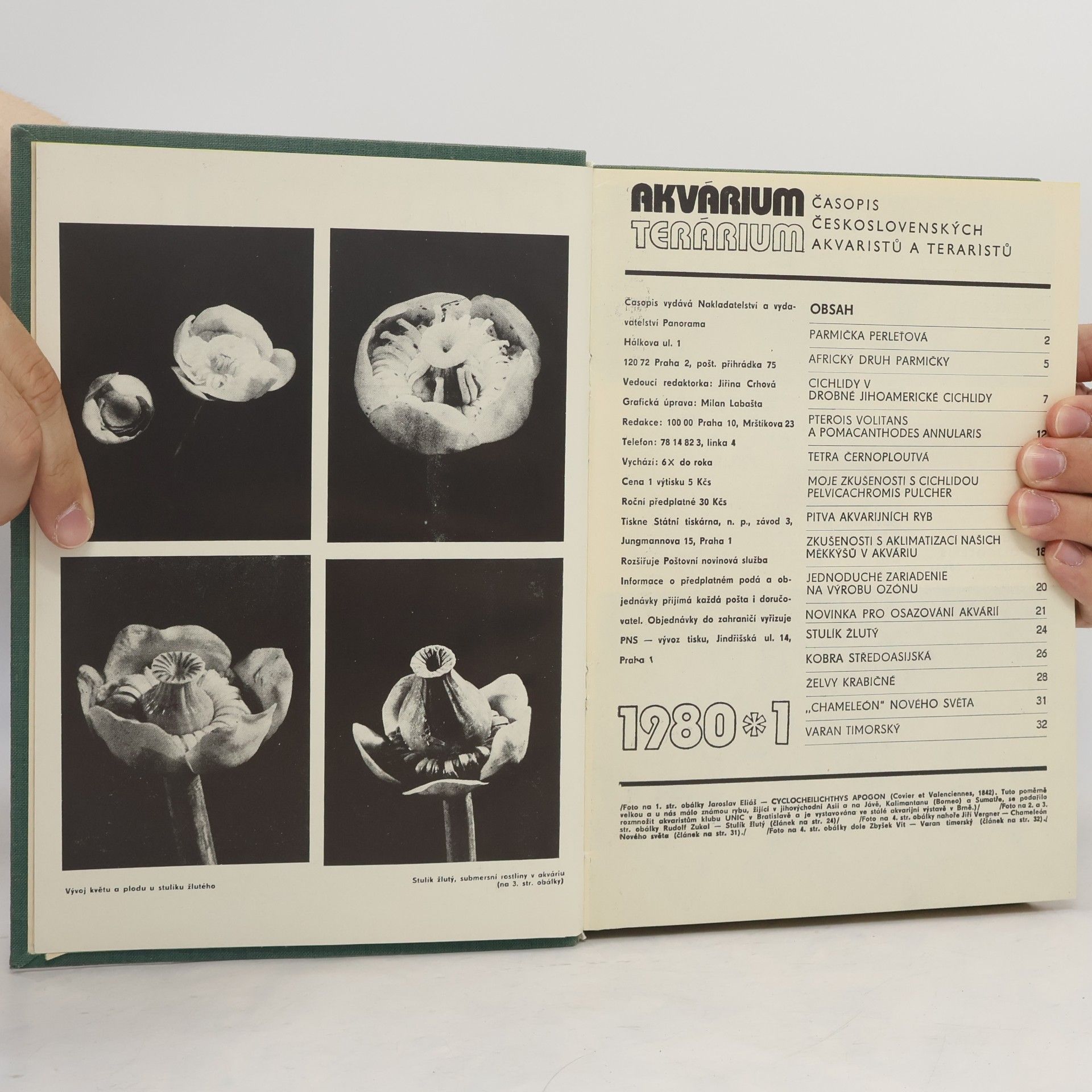 Autorenkollektiv Akvárium a terárium 1980