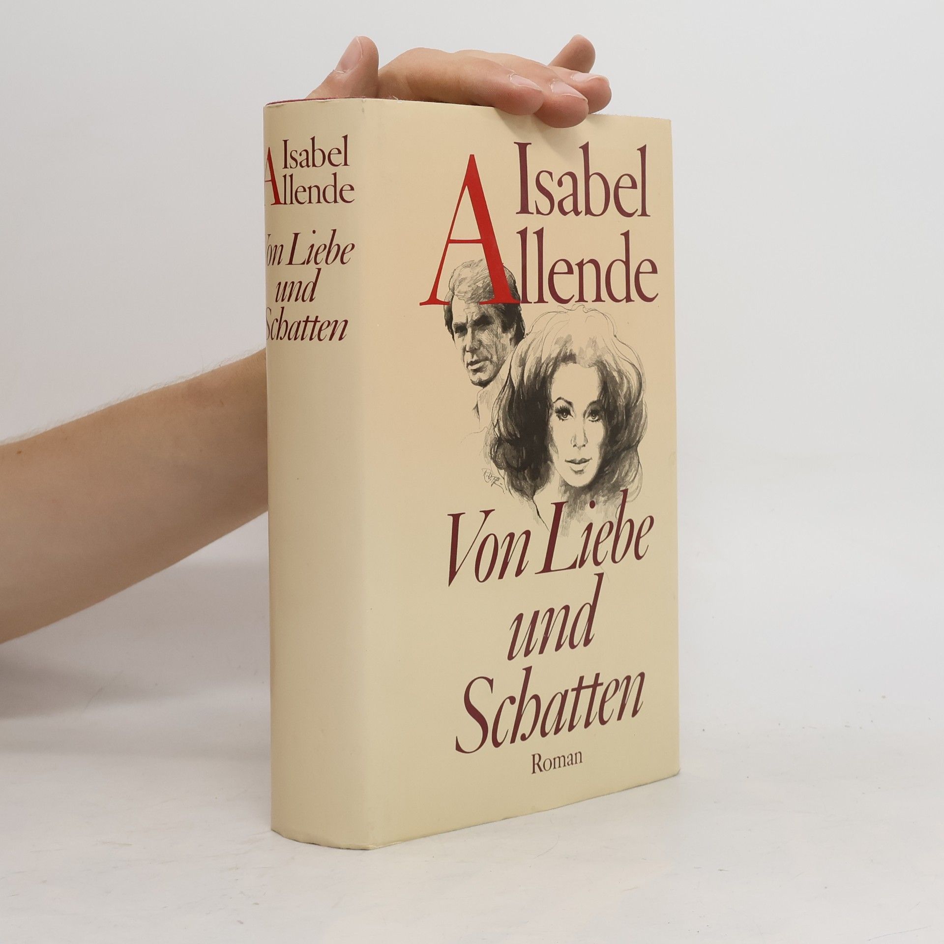 Isabel Allende Von Liebe und Schatten