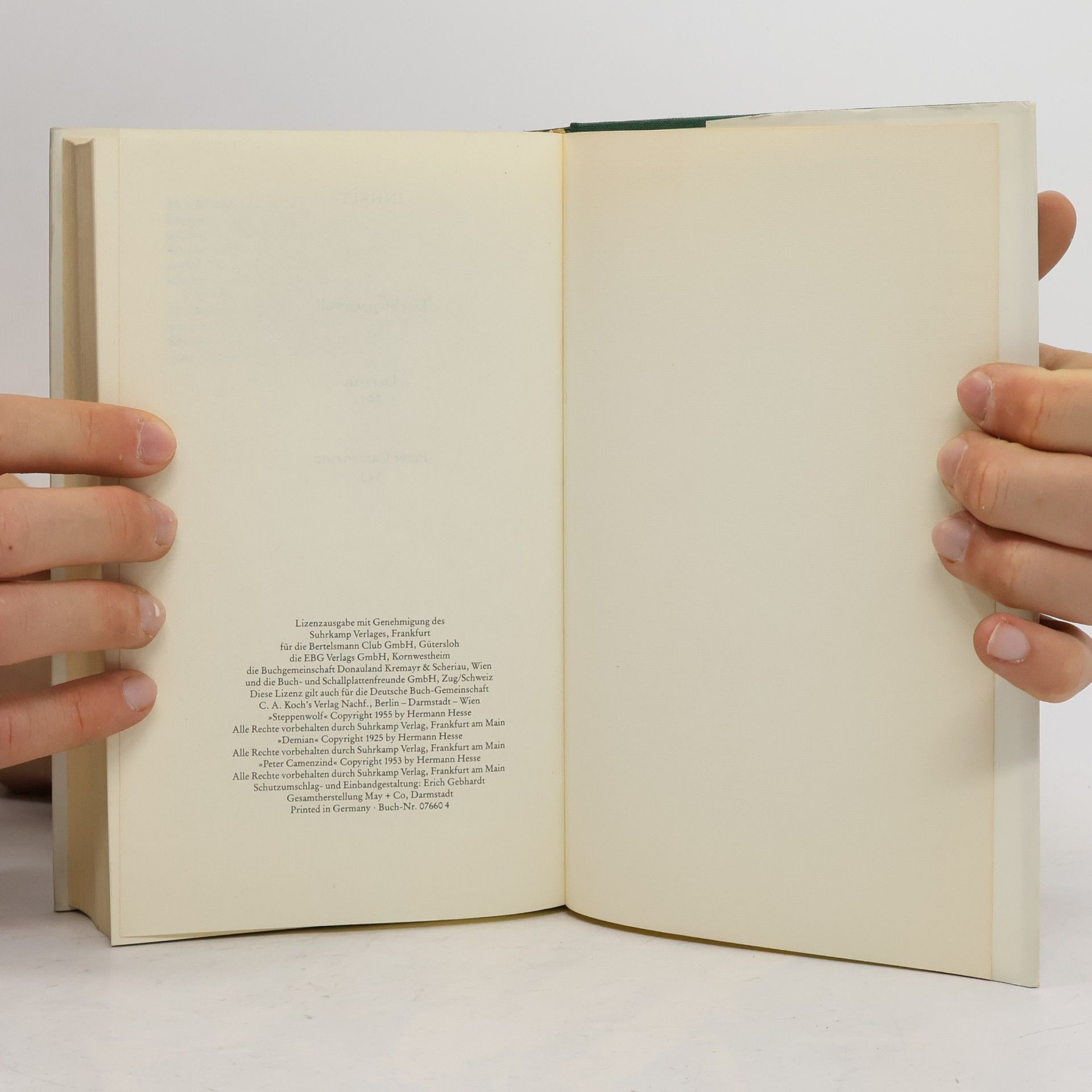 Hermann Hesse Der Steppenwolf. Demian. Peter Camenzind
