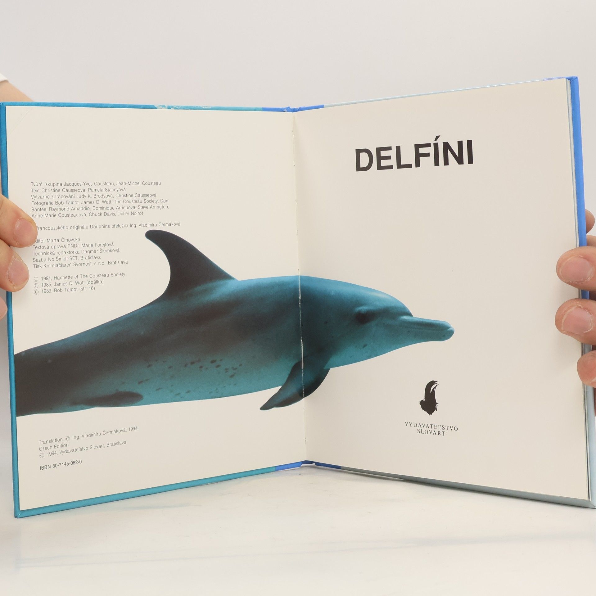 Collectif d'auteurs Delfíni