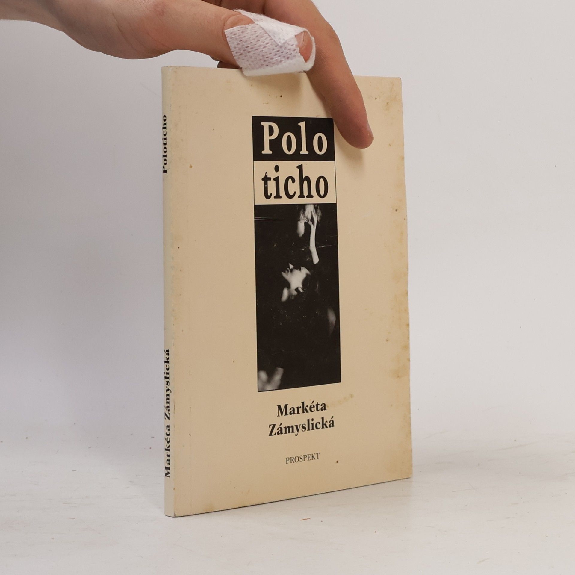 Markéta Zámyslická Poloticho