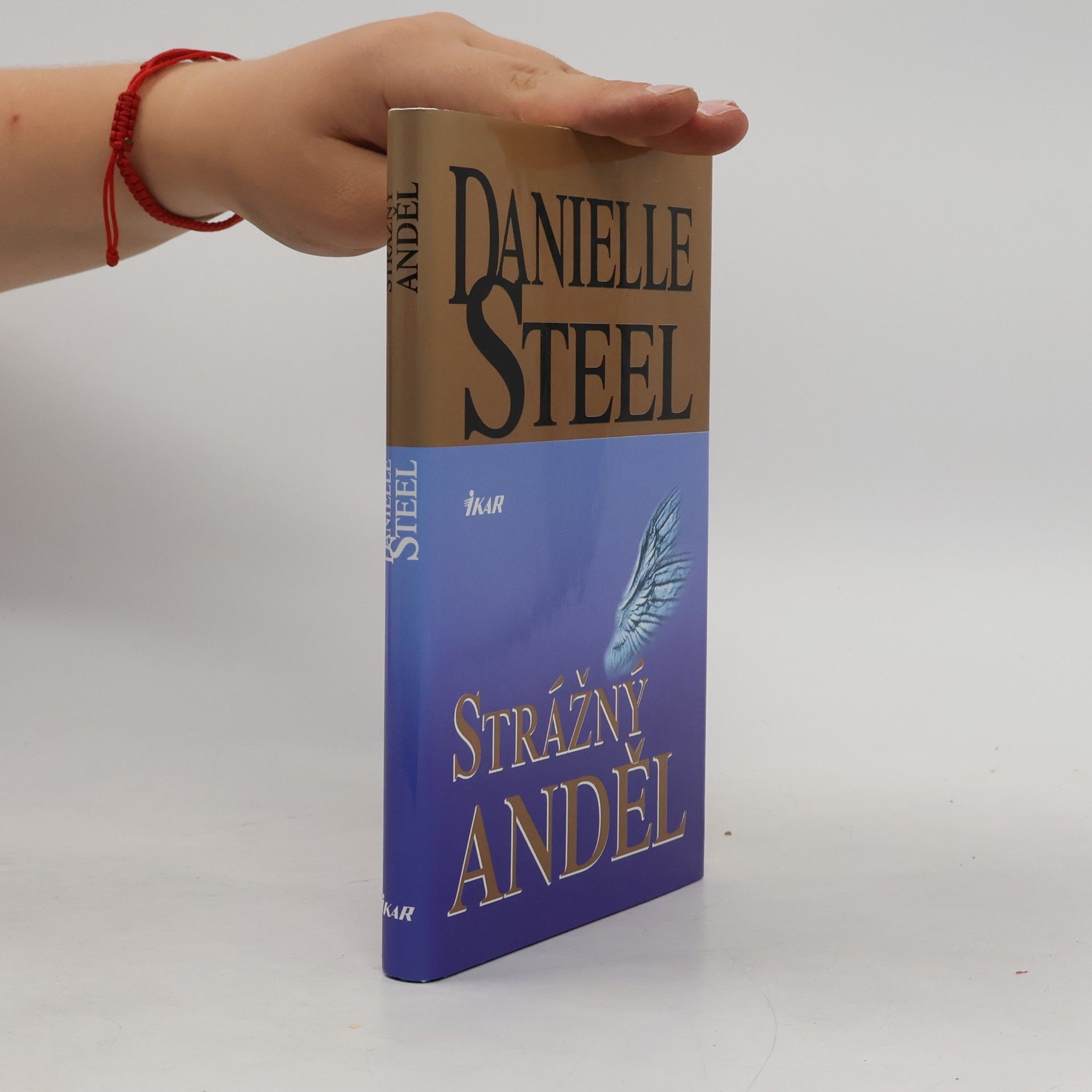 Danielle Steel Strážný anděl