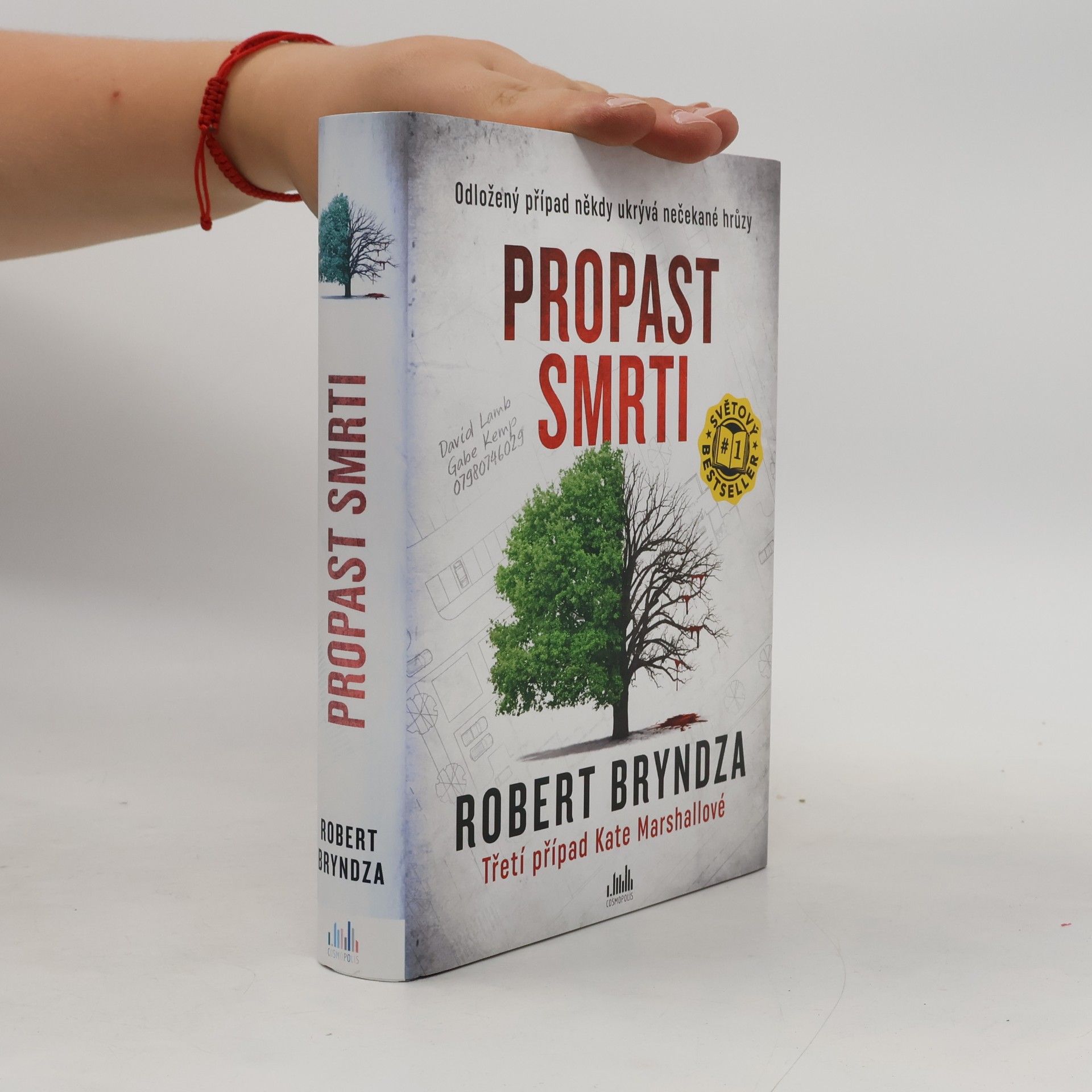 Robert Bryndza Propast smrti