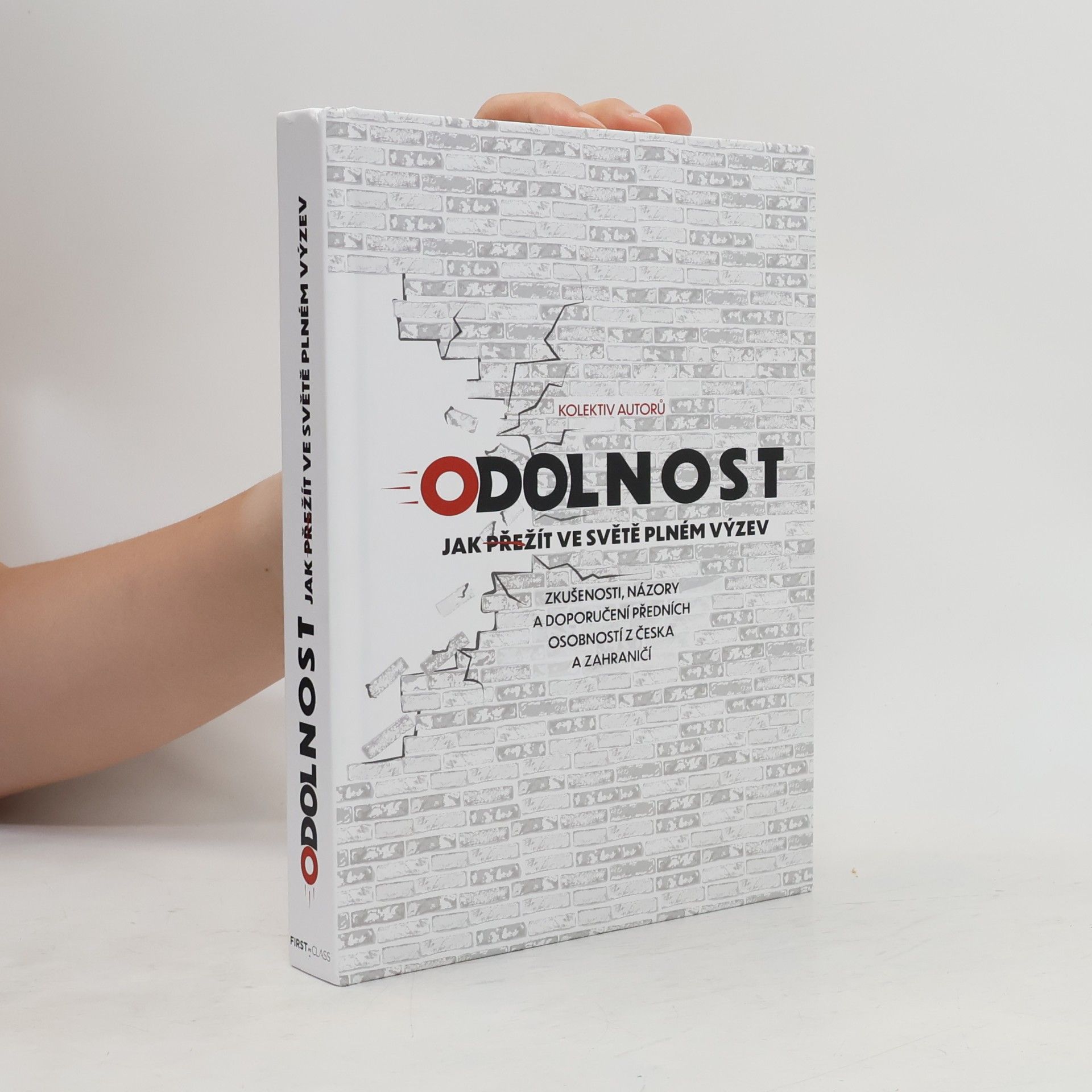 Kolektiv autorů Odolnost
