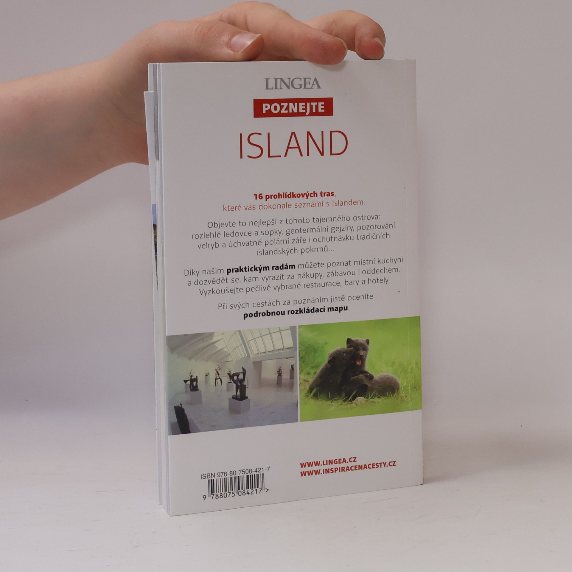 Autorenkollektiv Island