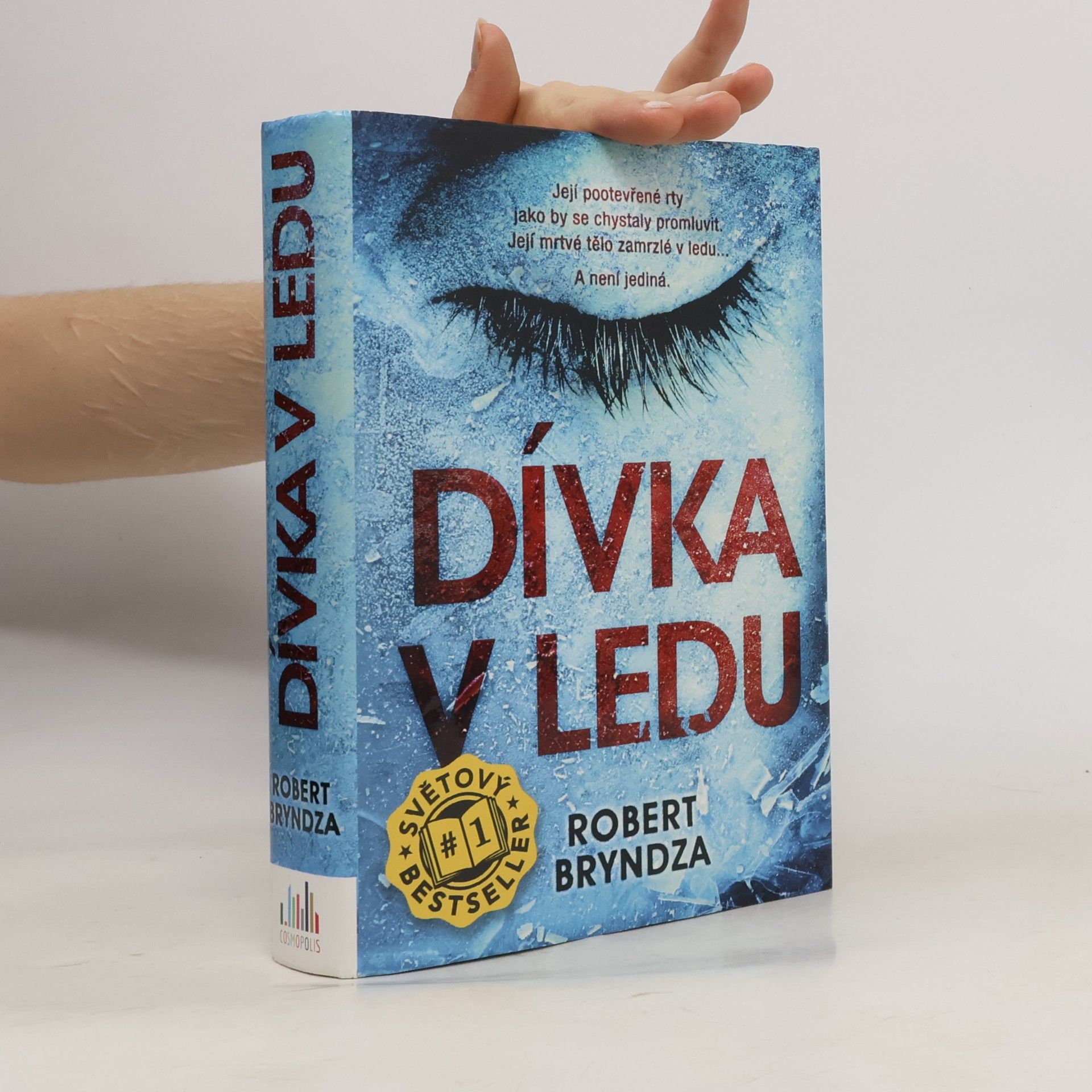 Robert Bryndza Dívka v ledu