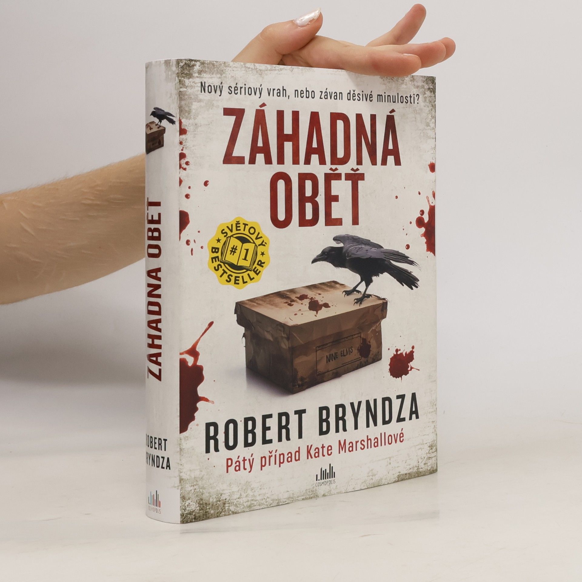 Robert Bryndza Záhadná oběť