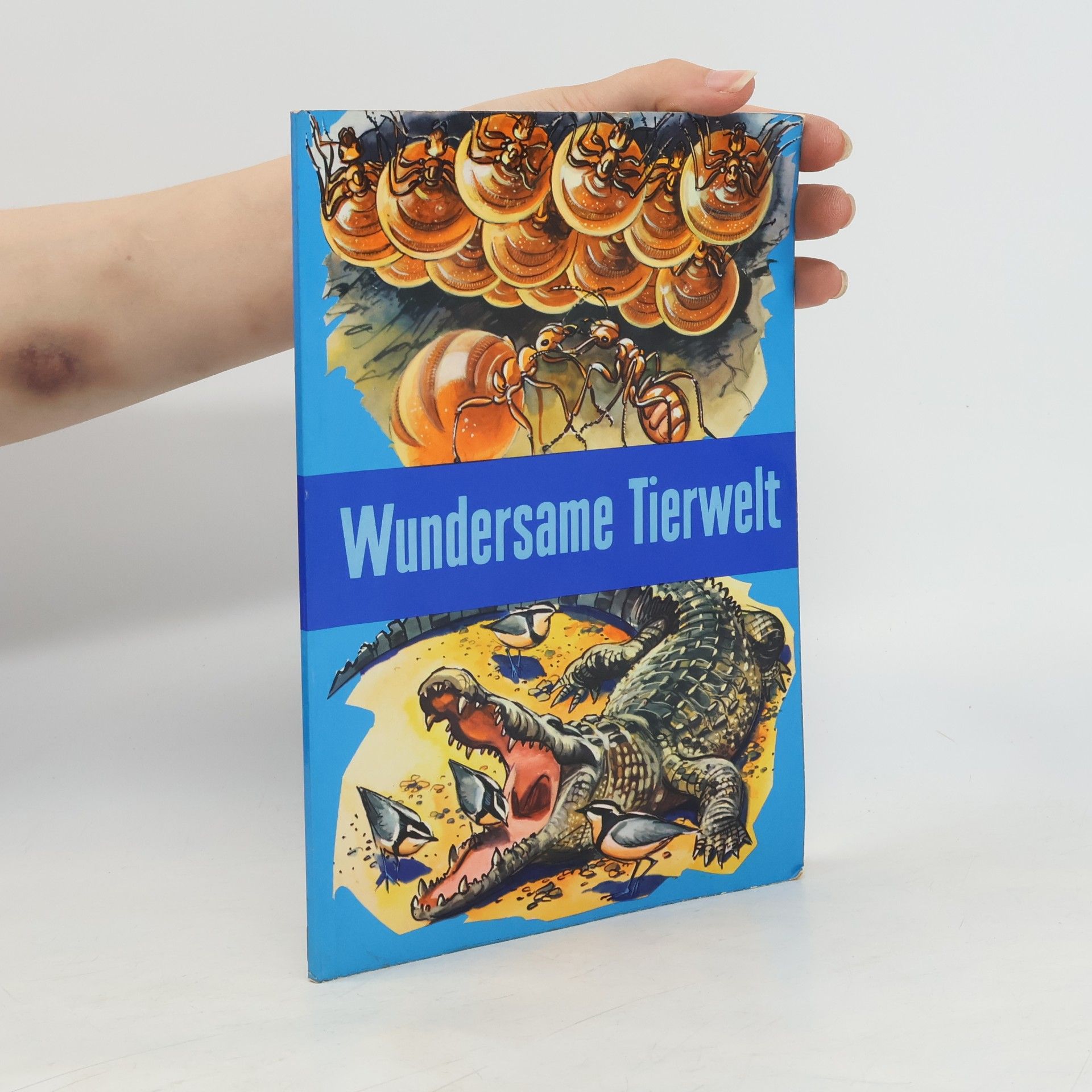 Collectif d'auteurs Wundersame Tierwelt