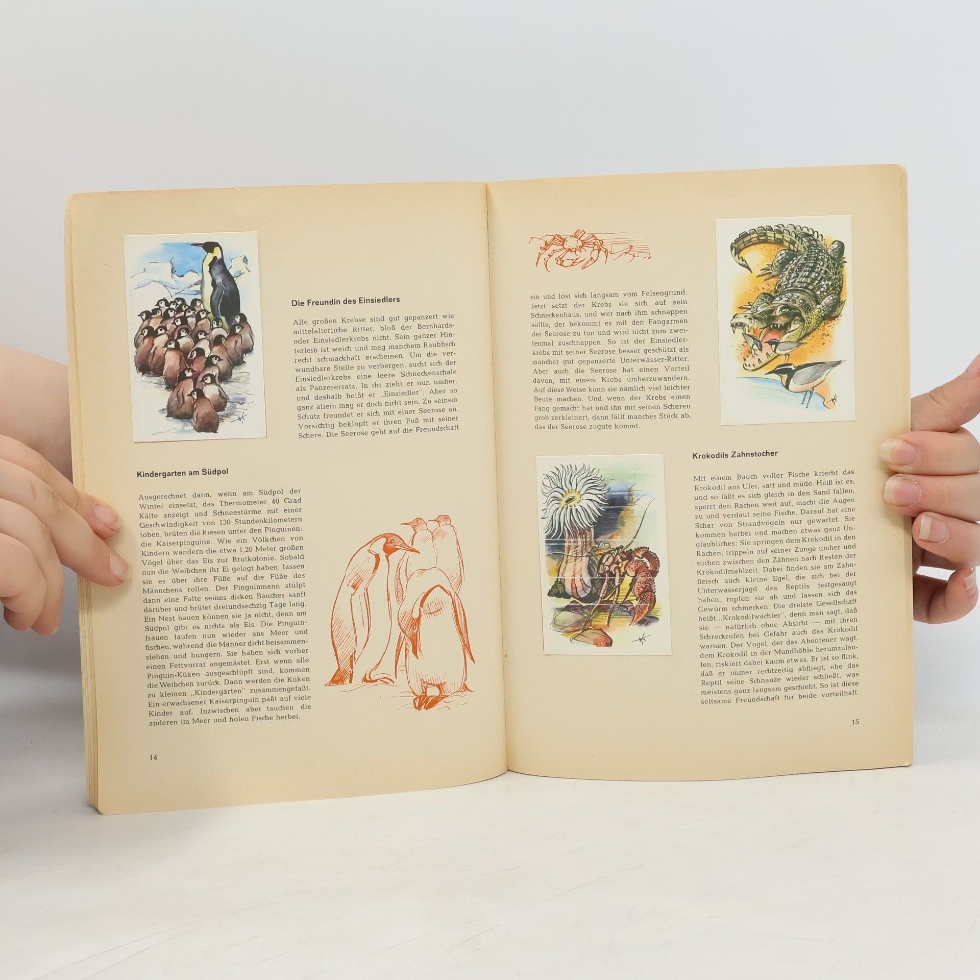 Collectif d'auteurs Wundersame Tierwelt