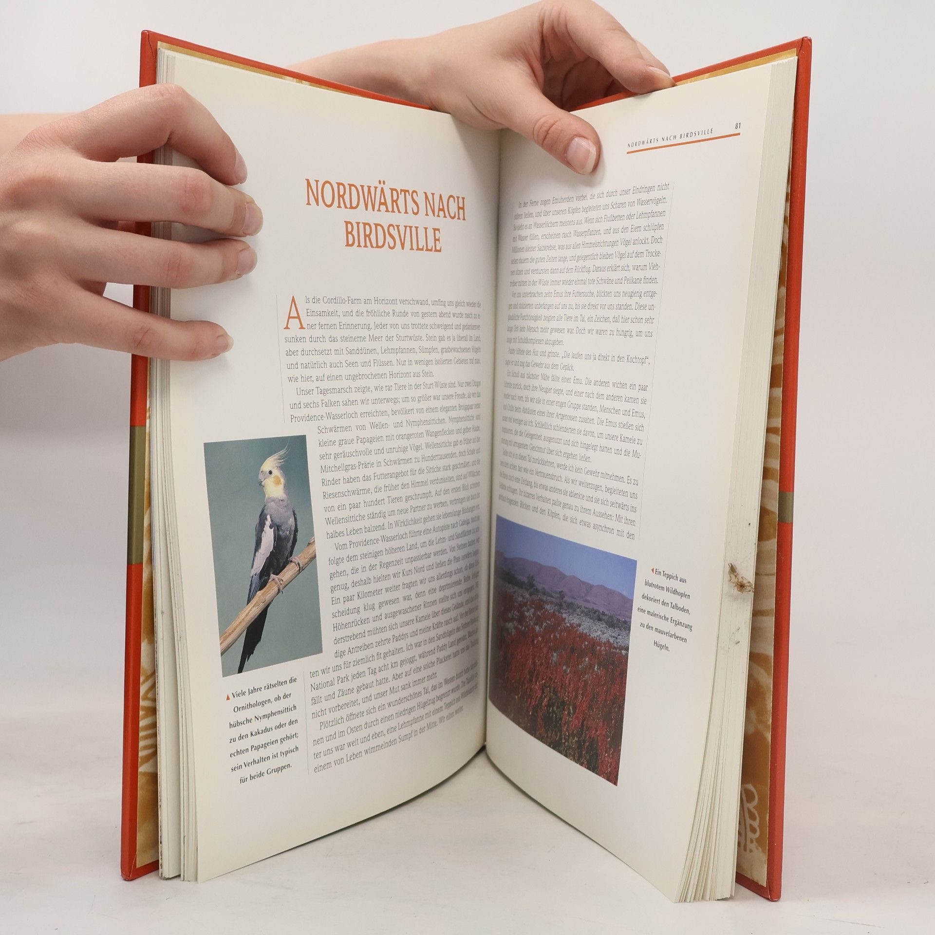 Collectif d'auteurs Traumkontinent Australien