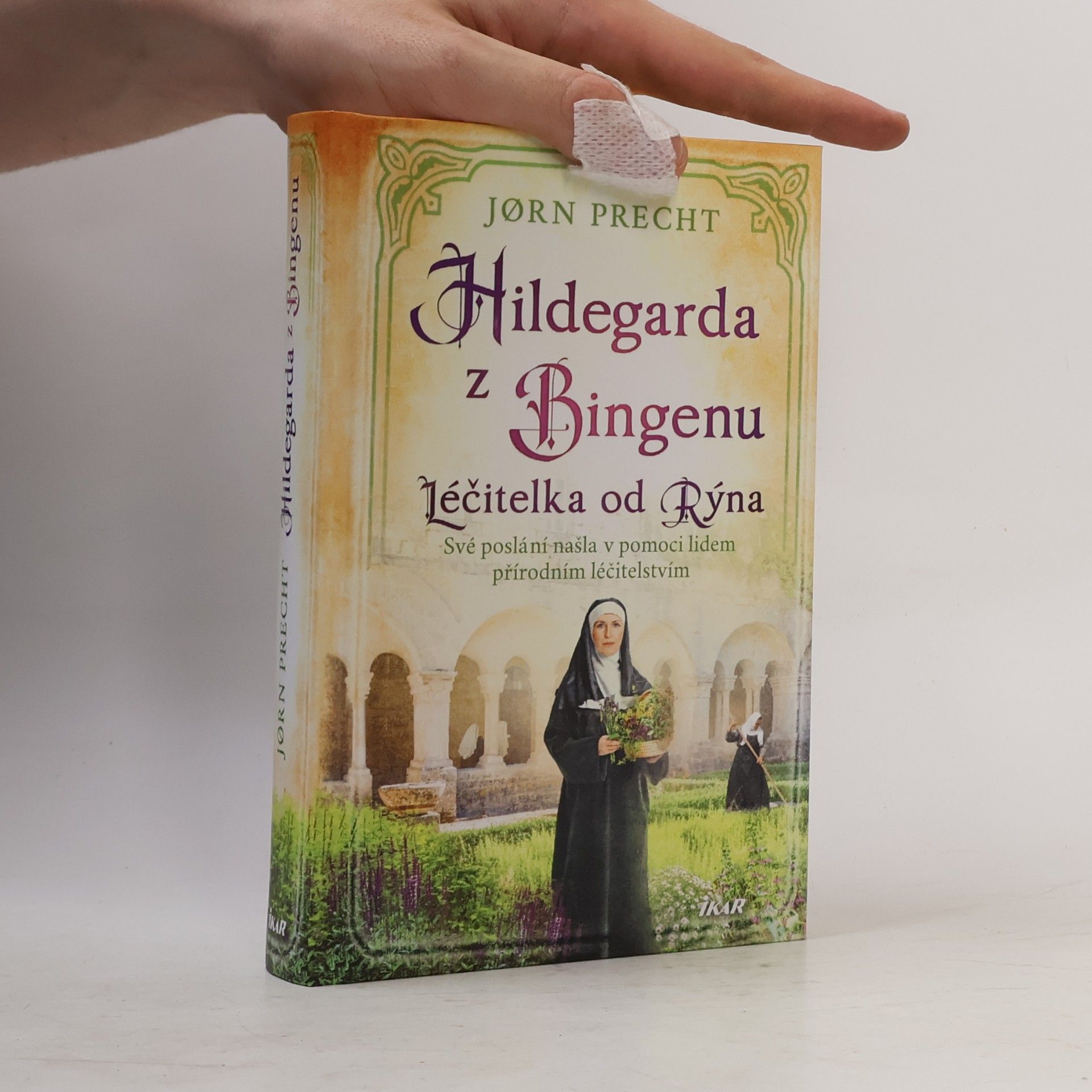 Jörn Precht Hildegarda z Bingenu
