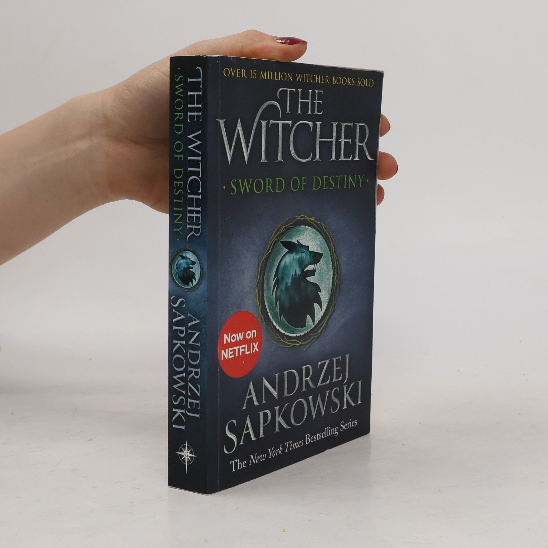 Andrzej Sapkowski The Witcher: Sword of destiny