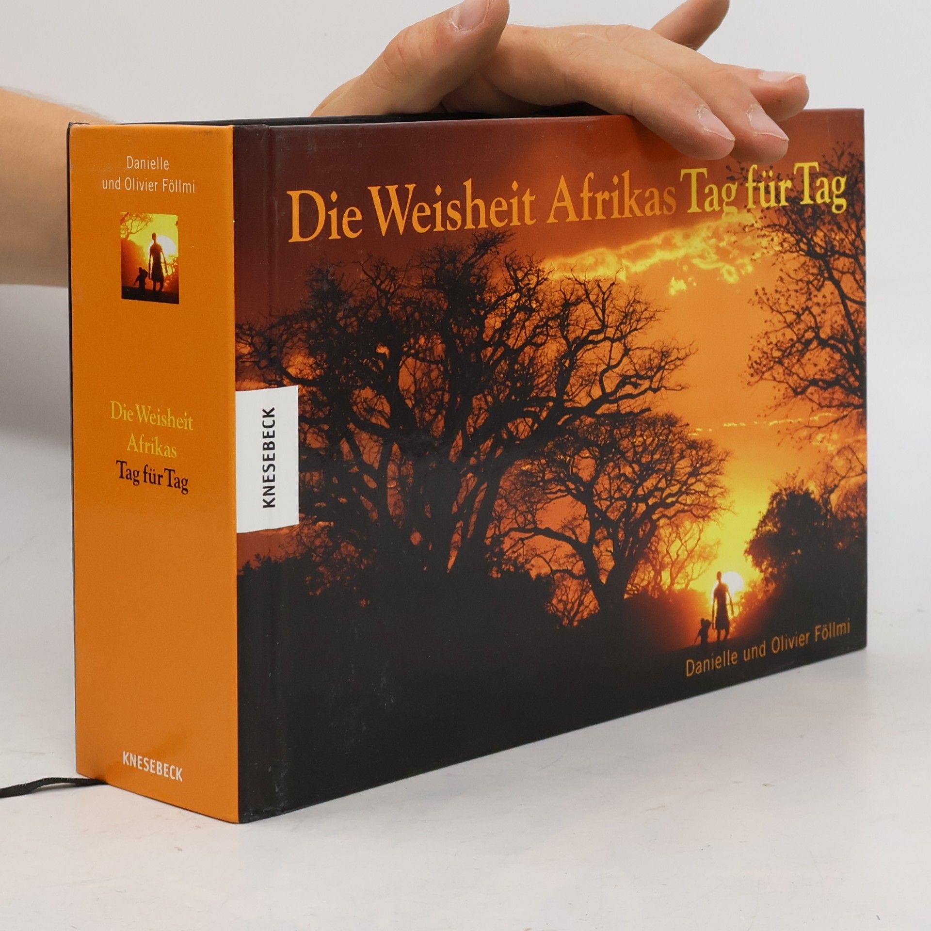 Danielle Föllmi Die Weisheit Afrikas Tag für Tag