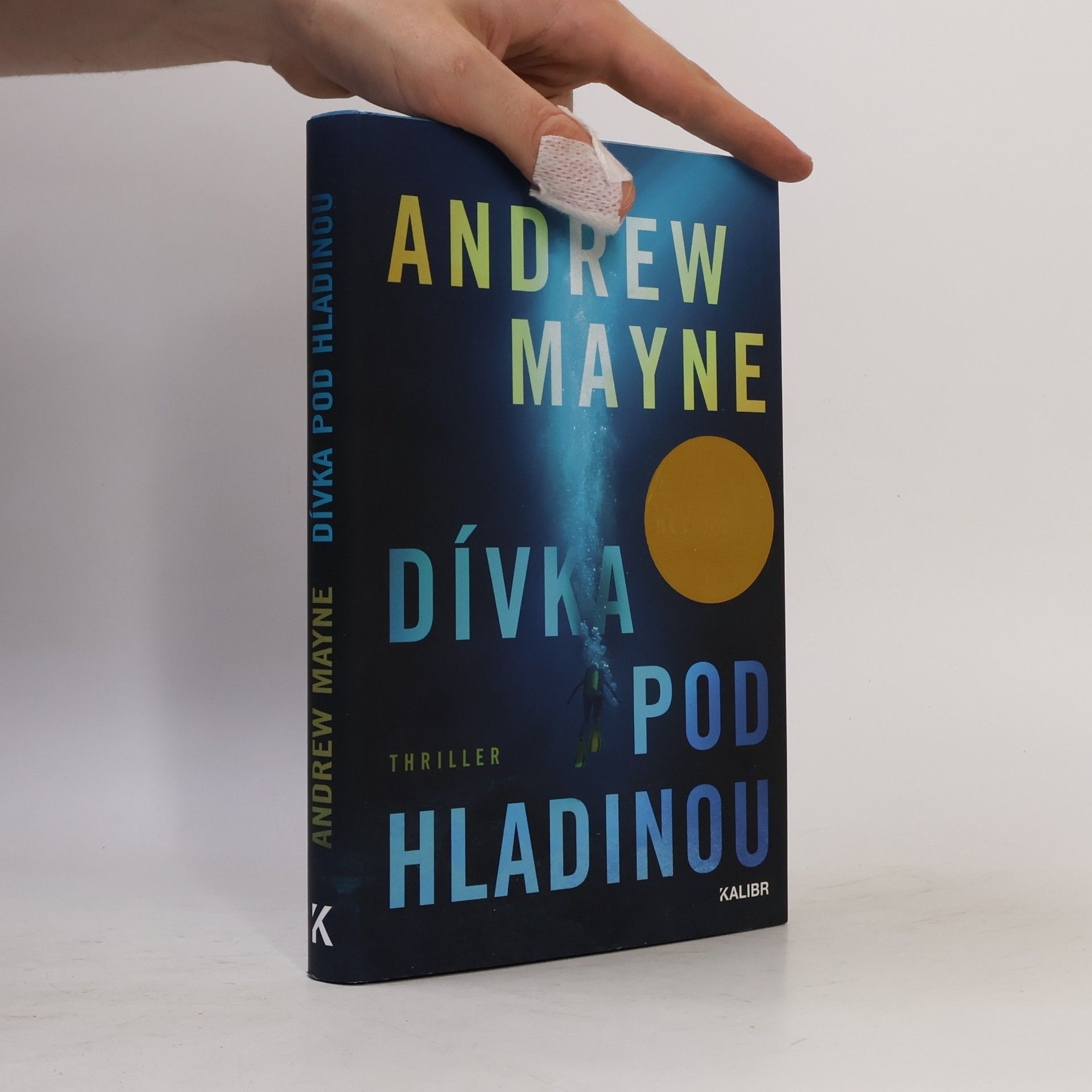 Andrew Mayne Dívka pod hladinou