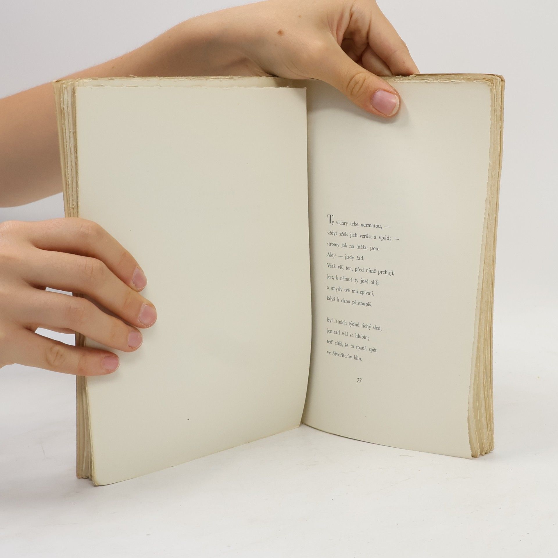 Rainer Maria Rilke Kniha hodinek