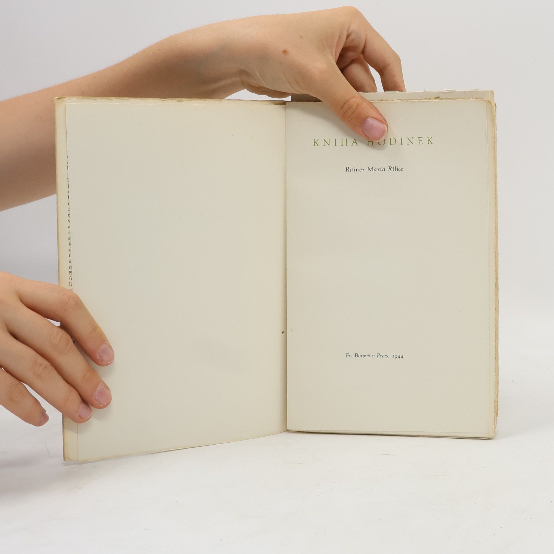 Rainer Maria Rilke Kniha hodinek