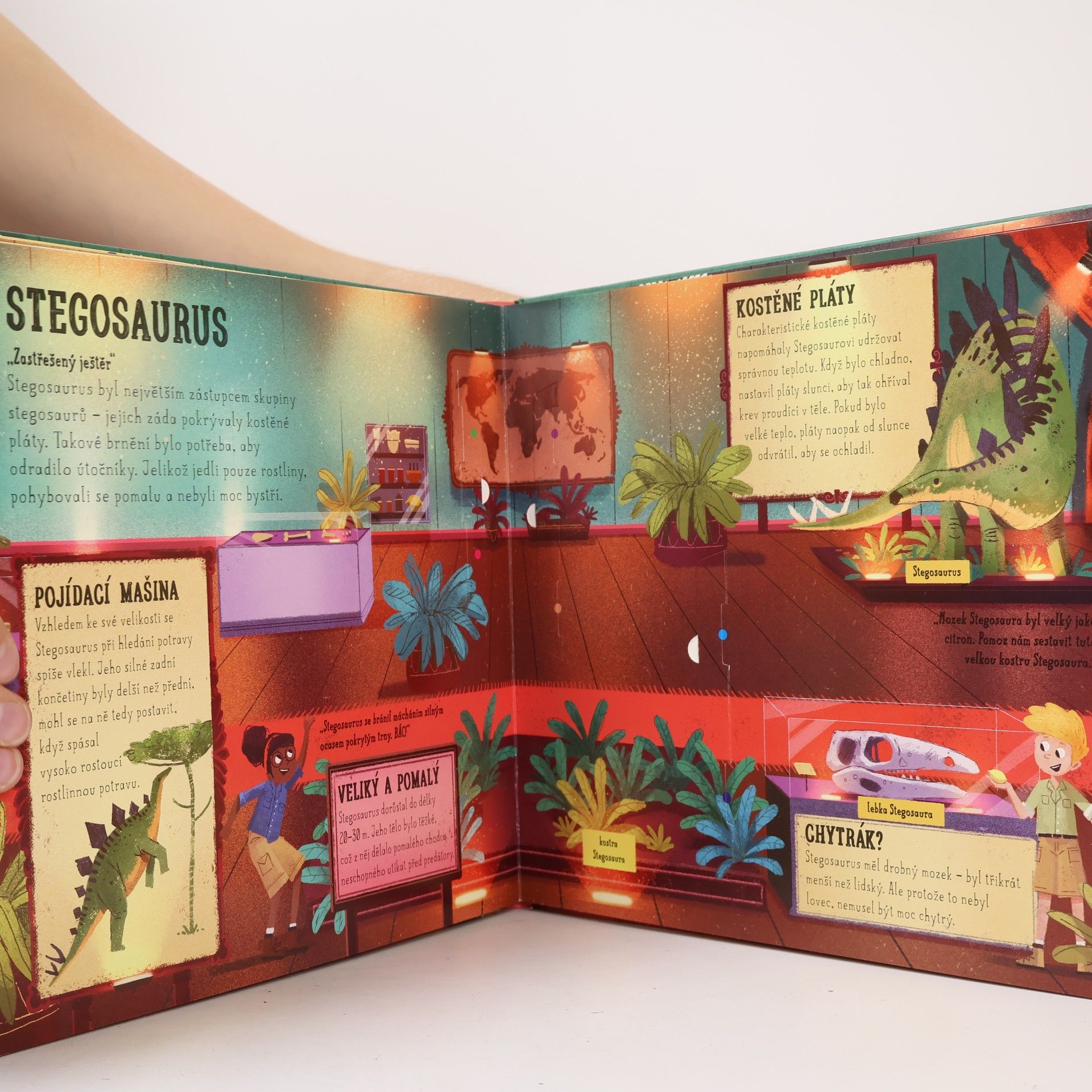 Jenny Jacoby Postav si vlastní dinosauří muzeum