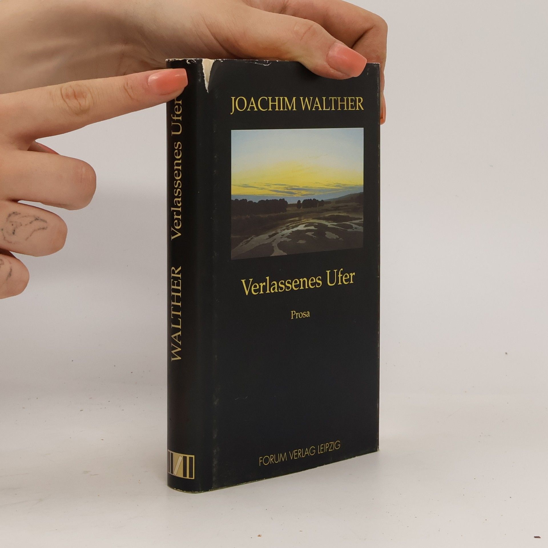 Joachim Walther Verlassenes Ufer