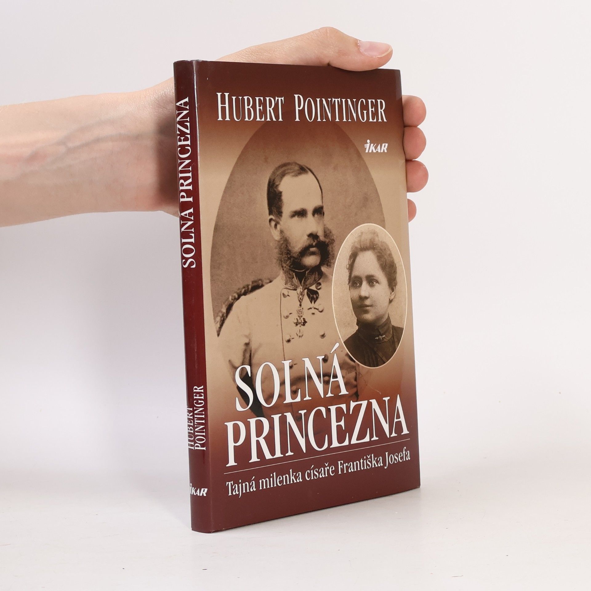 Hubert Pointinger Solná princezna