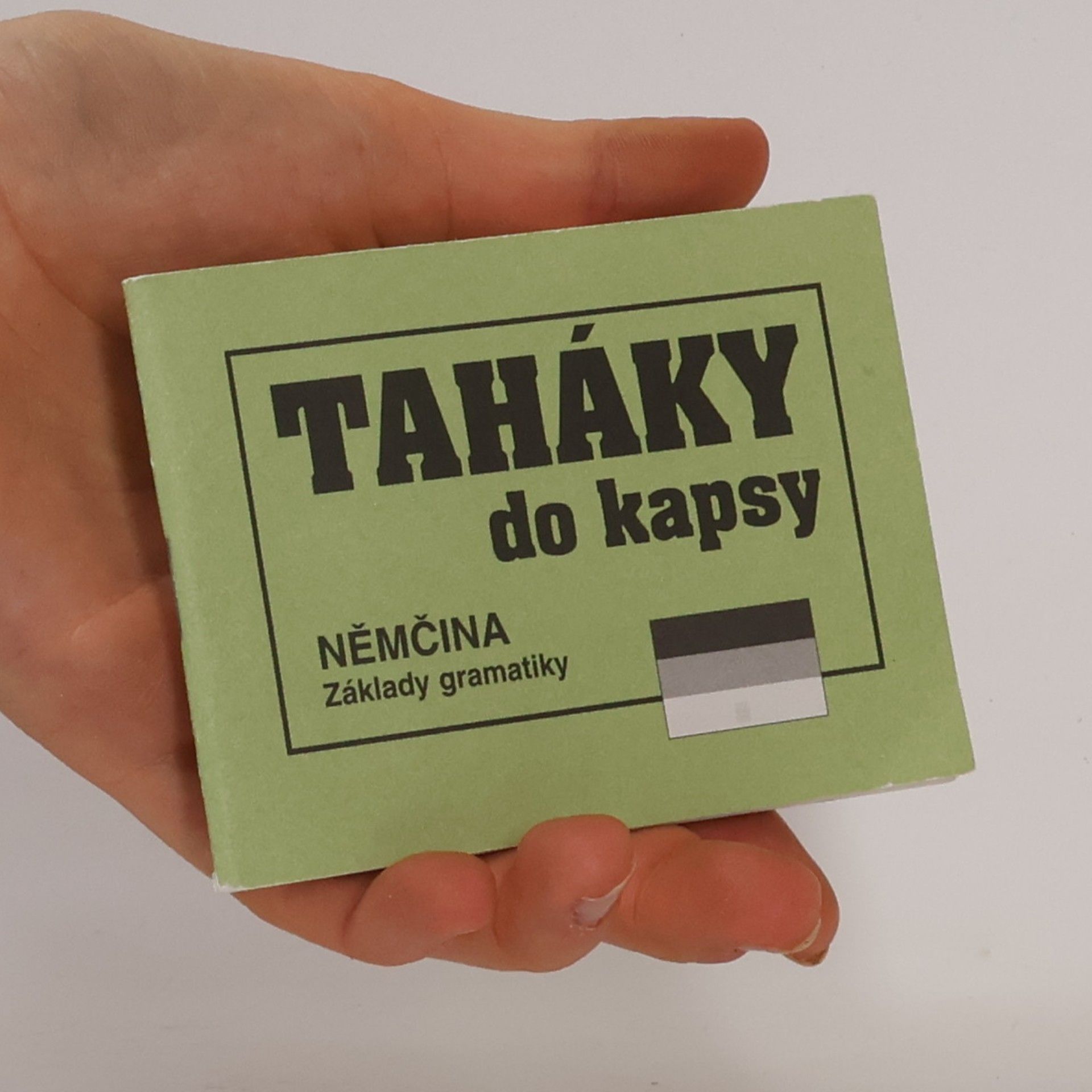Zdeňka Stellnerová Němčina : základy gramatiky