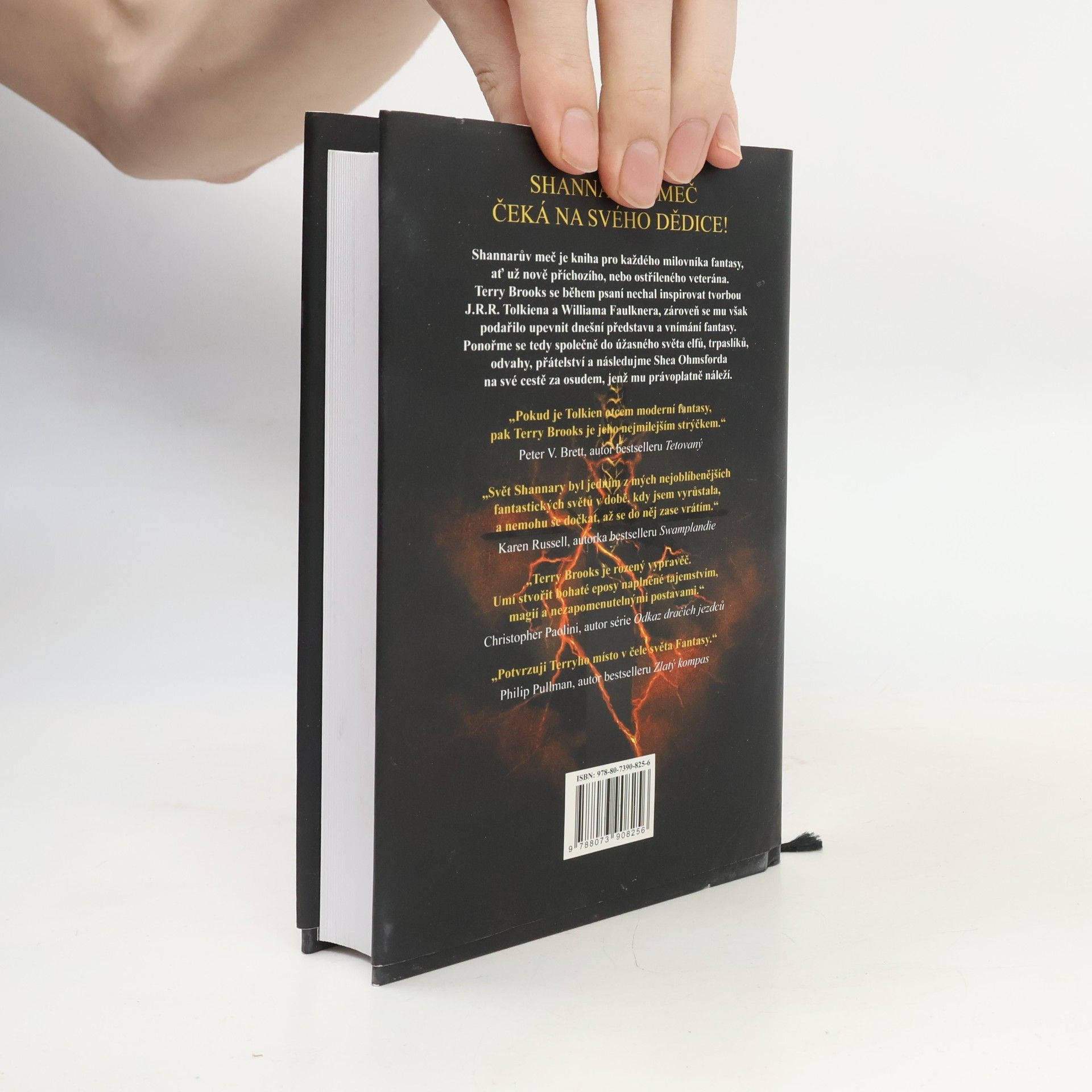 Terry Brooks Shannarův meč