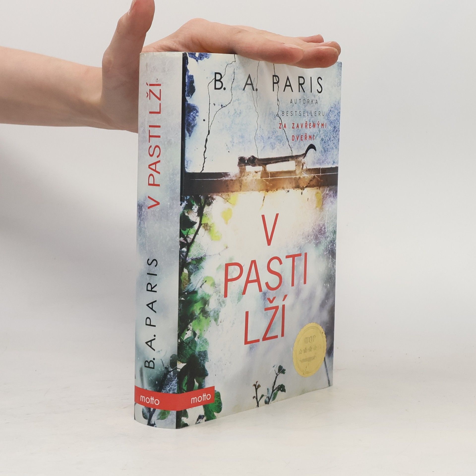 B.A. Paris V pasti lží