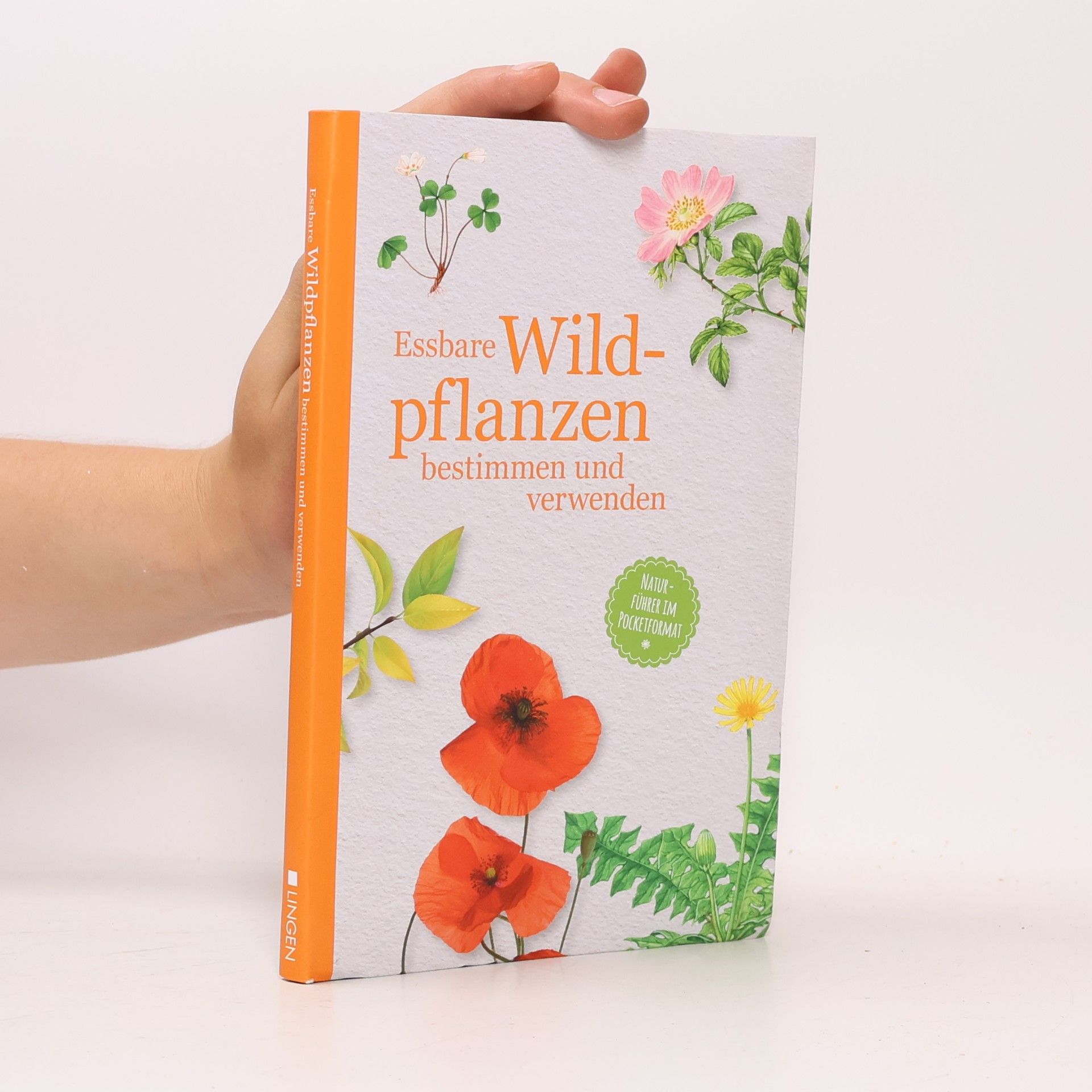 Autorenkollektiv Essbare Wildpflanzen bestimmen und verwenden