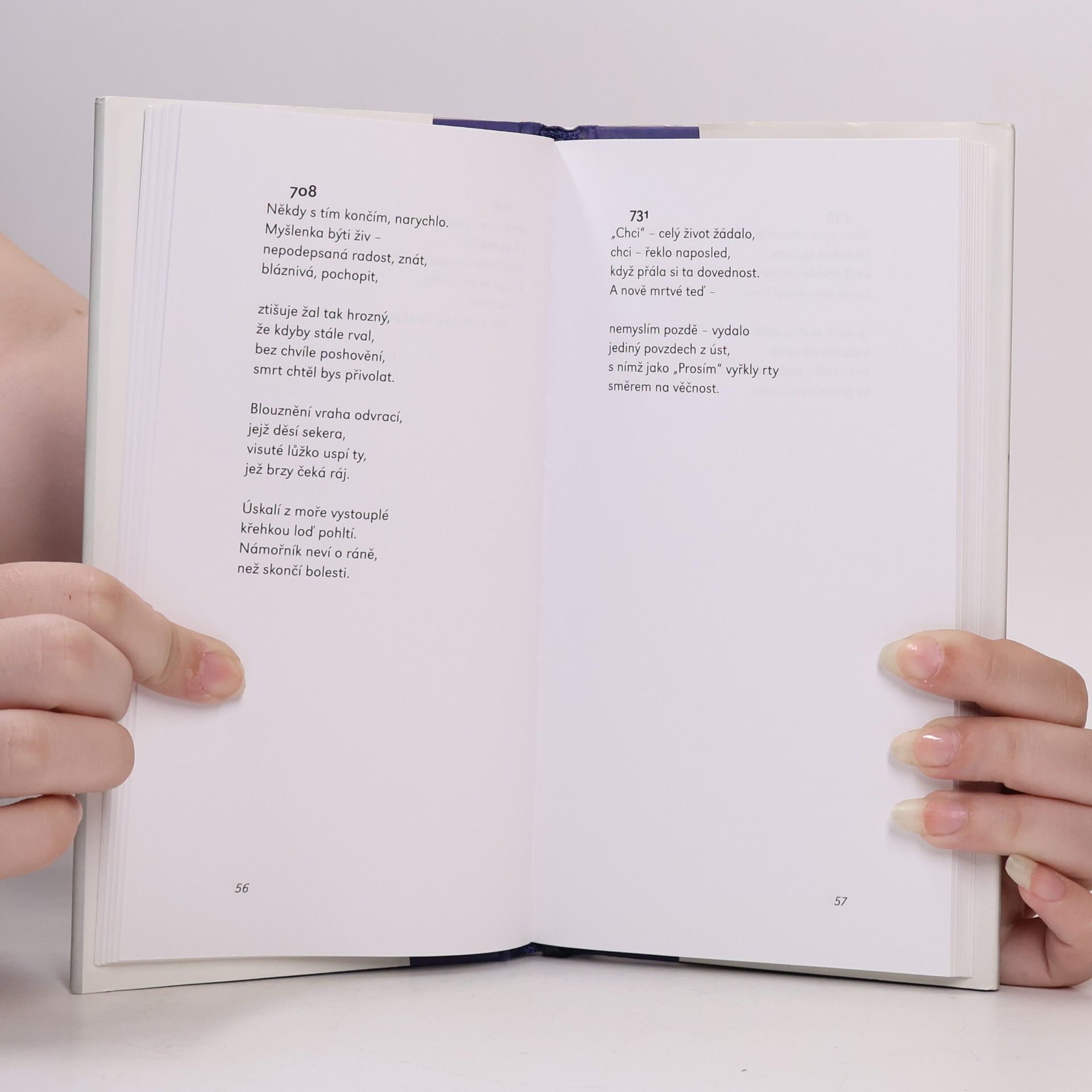 Emily Dickinson A básníkem být nechci