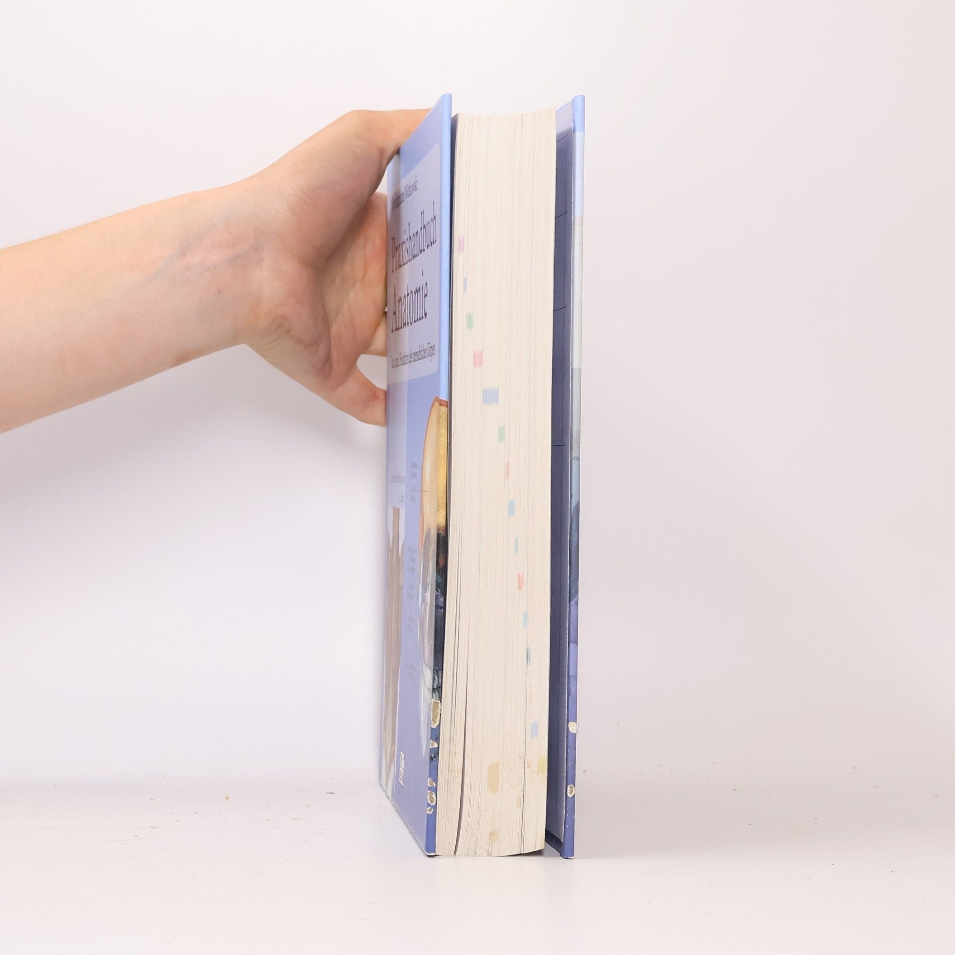 Erwin-Josef Speckmann Praxishandbuch Anatomie