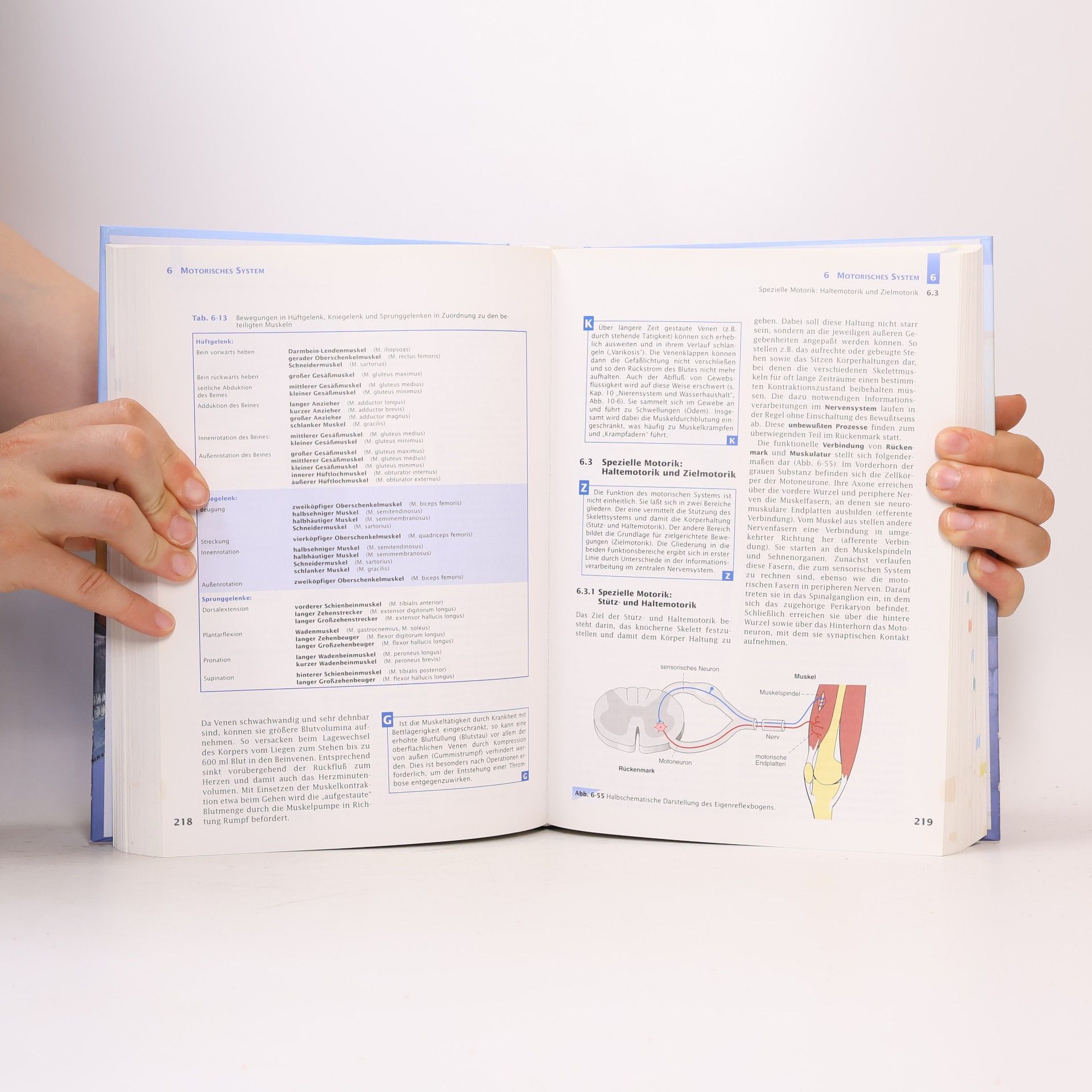 Erwin-Josef Speckmann Praxishandbuch Anatomie