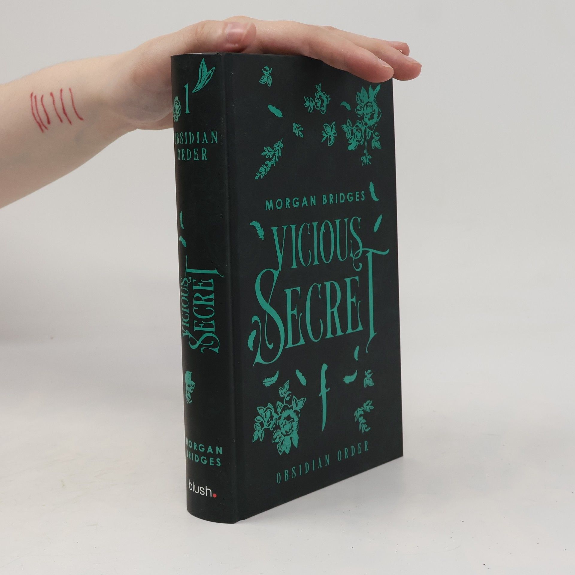 Morgan Bridges Vicious Secret. Obsidian Order