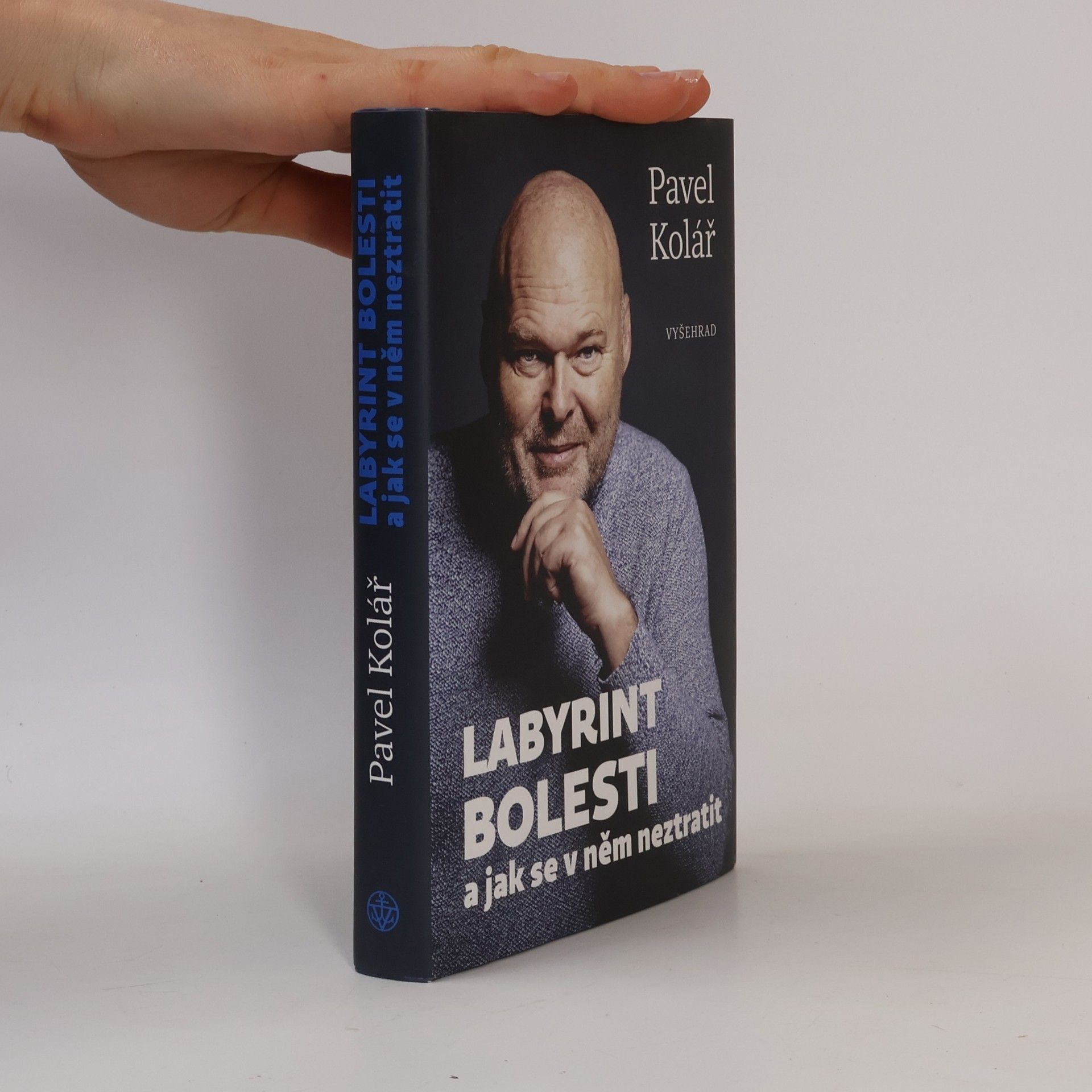 Pavel Kolář Labyrint bolesti a jak se v něm neztratit