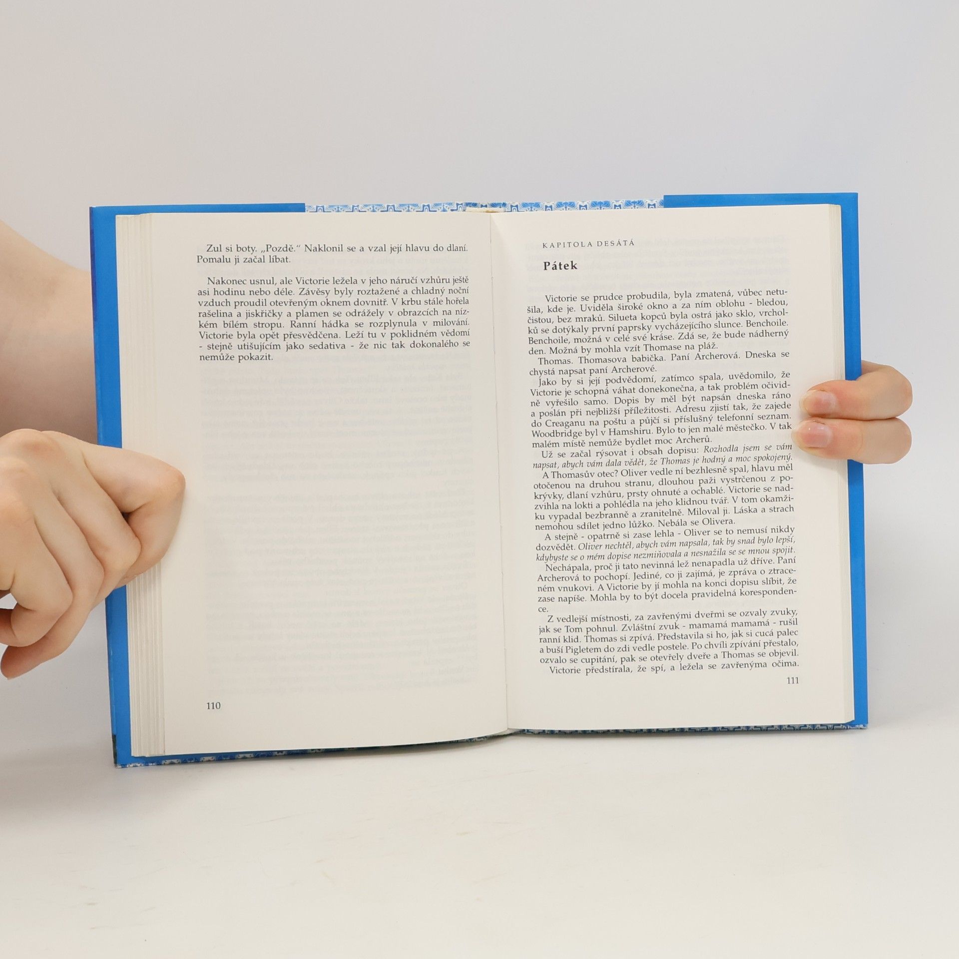 Rosamunde Pilcher Divoký tymián