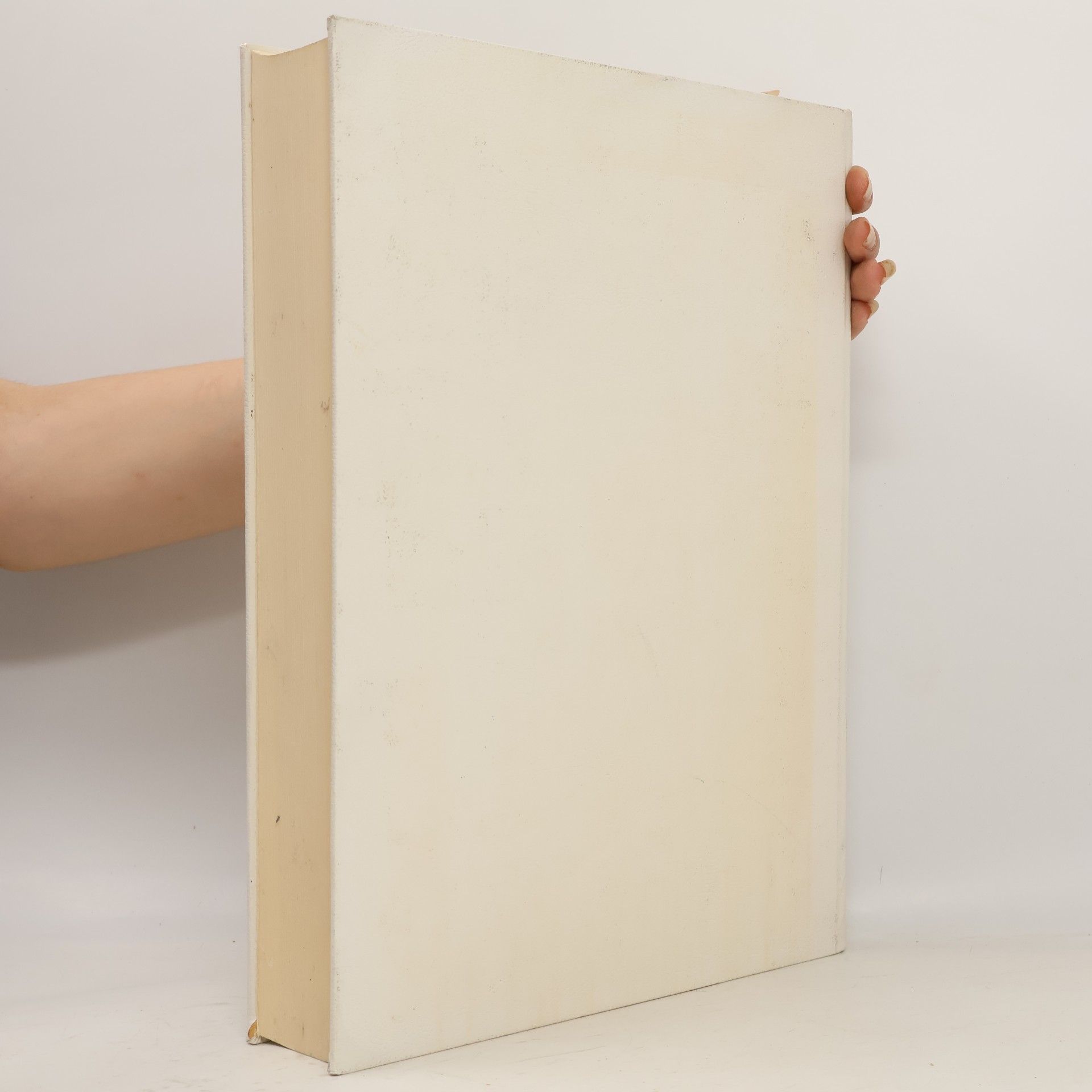 Kolektiv autorů Schedelsche Weltchronik 1493