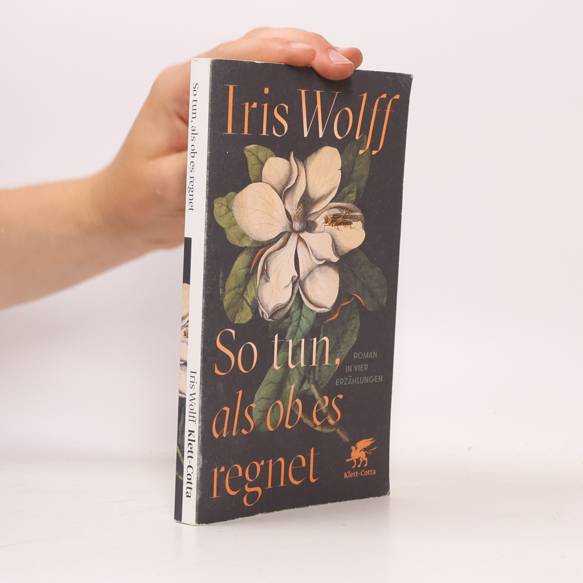 Iris Wolff So tun, als ob es regnet