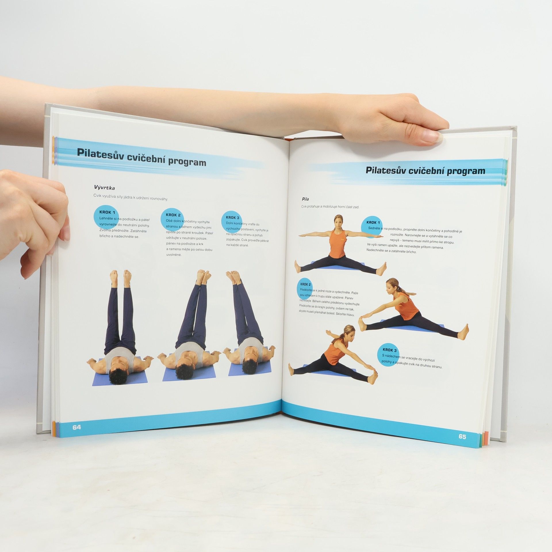 Roger Brignell Cvičíme pilates: Pro začátečníky i pokročilé