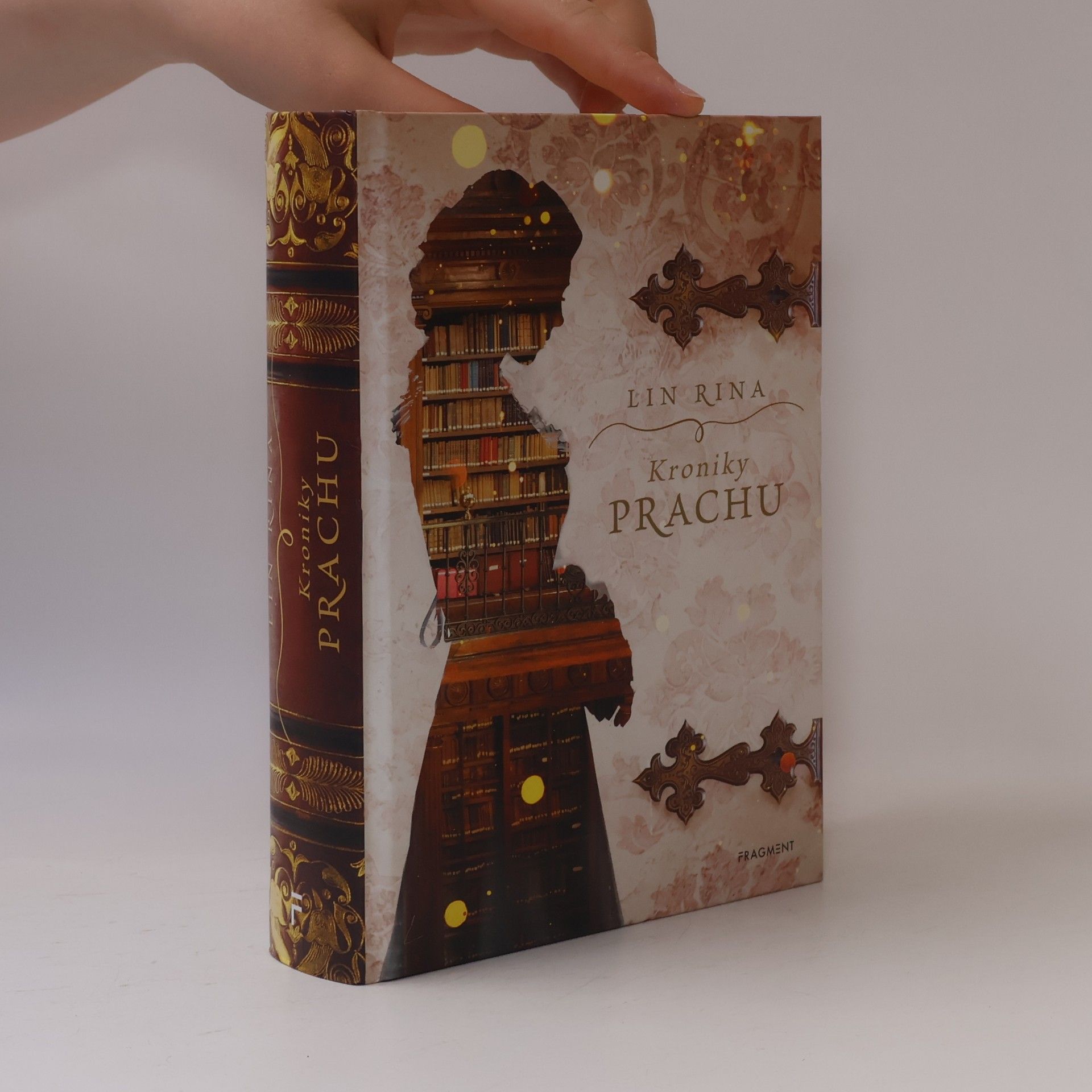 Lin Rina Kroniky prachu